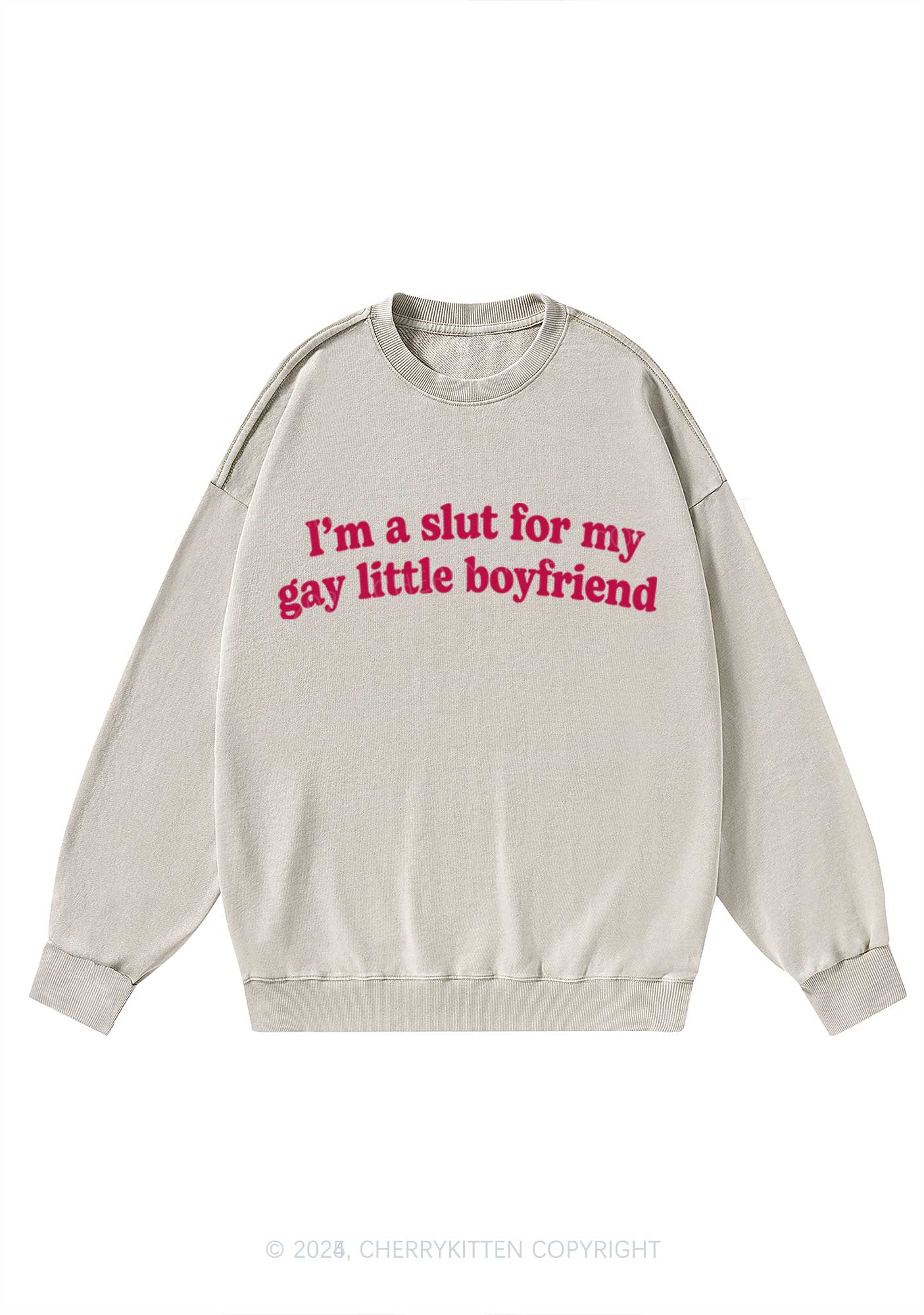 Slxt For My Gay BF Y2K Washed Sweatshirts Cherrykitten