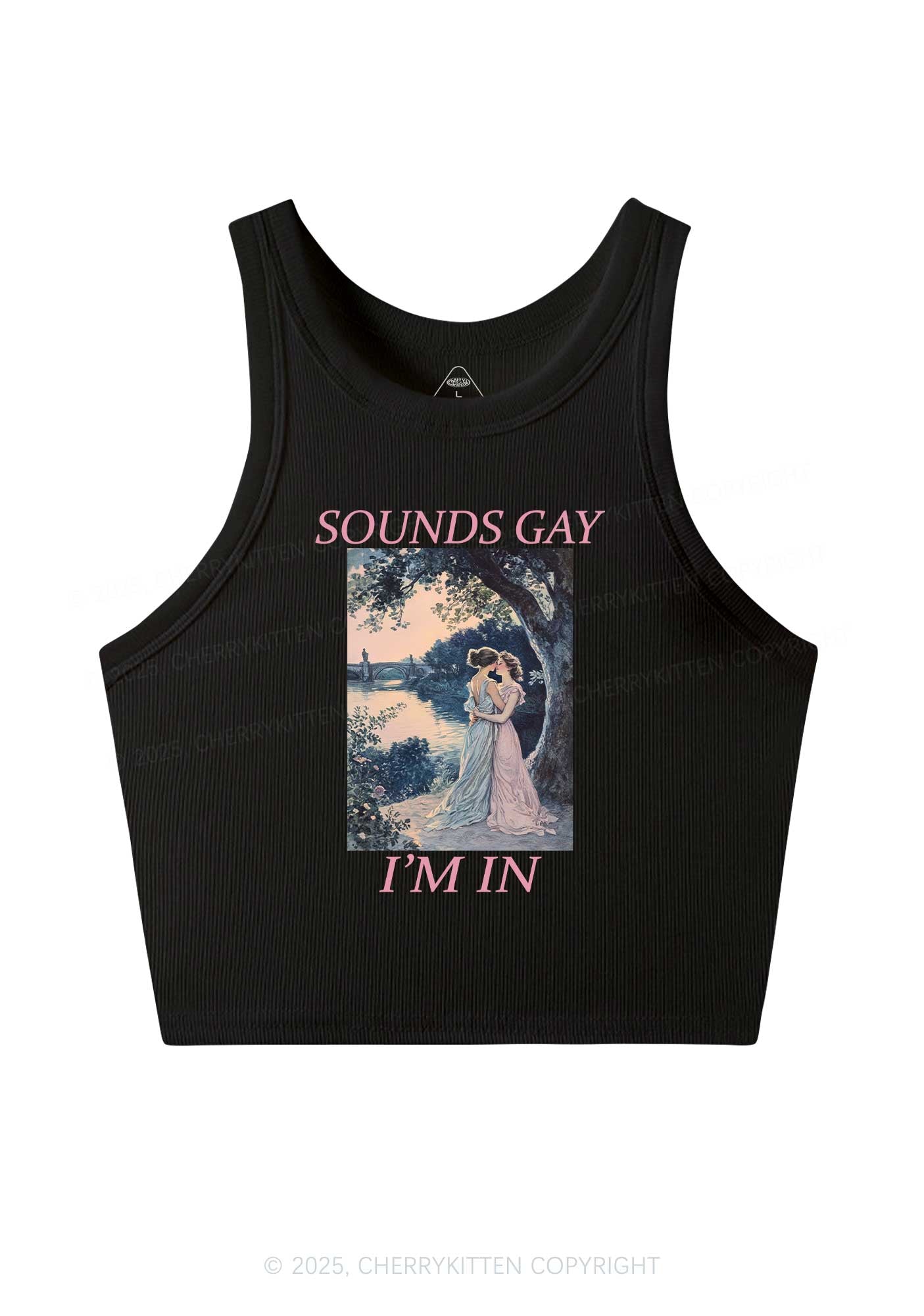 Sounds Gay Im In Pride Y2K Crop Tank Top Cherrykitten