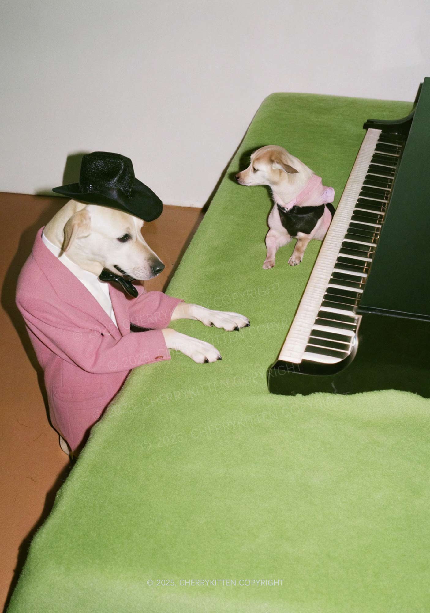 Piano Pups Y2K Print Midi Skirt Cherrykitten