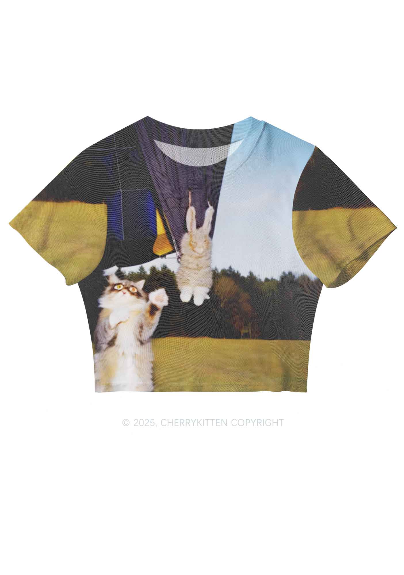 Kitten Camping Y2K Mesh Crop Top Cherrykitten