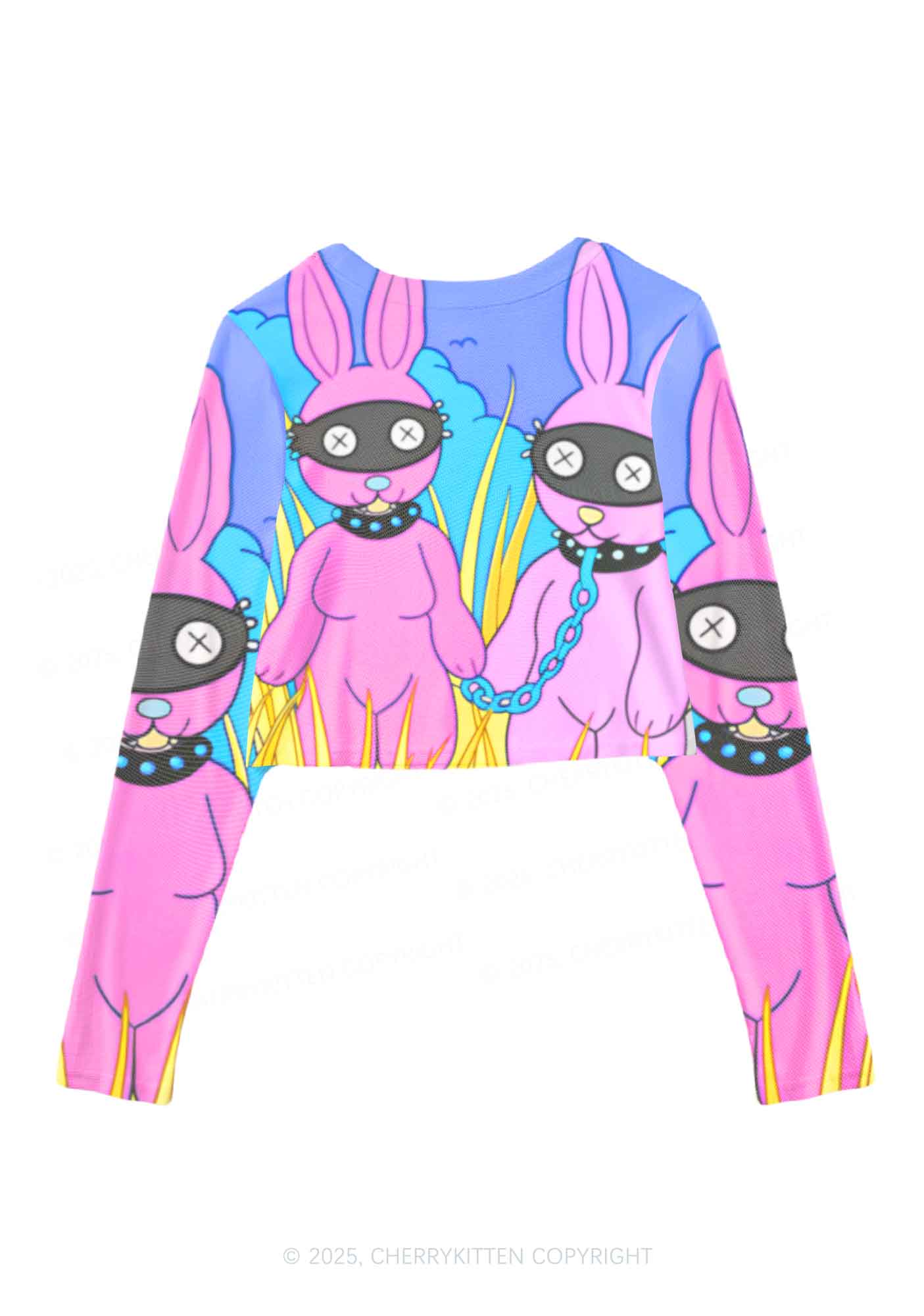 BDSM Bunny Y2K Mesh Long Sleeve Crop Top Cherrykitten
