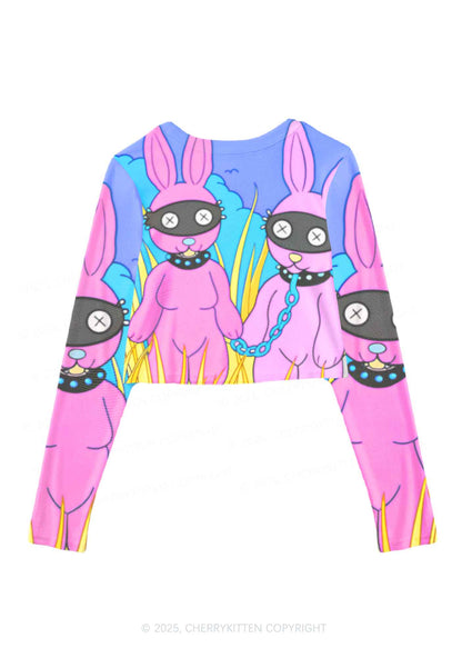 BDSM Bunny Y2K Mesh Long Sleeve Crop Top Cherrykitten