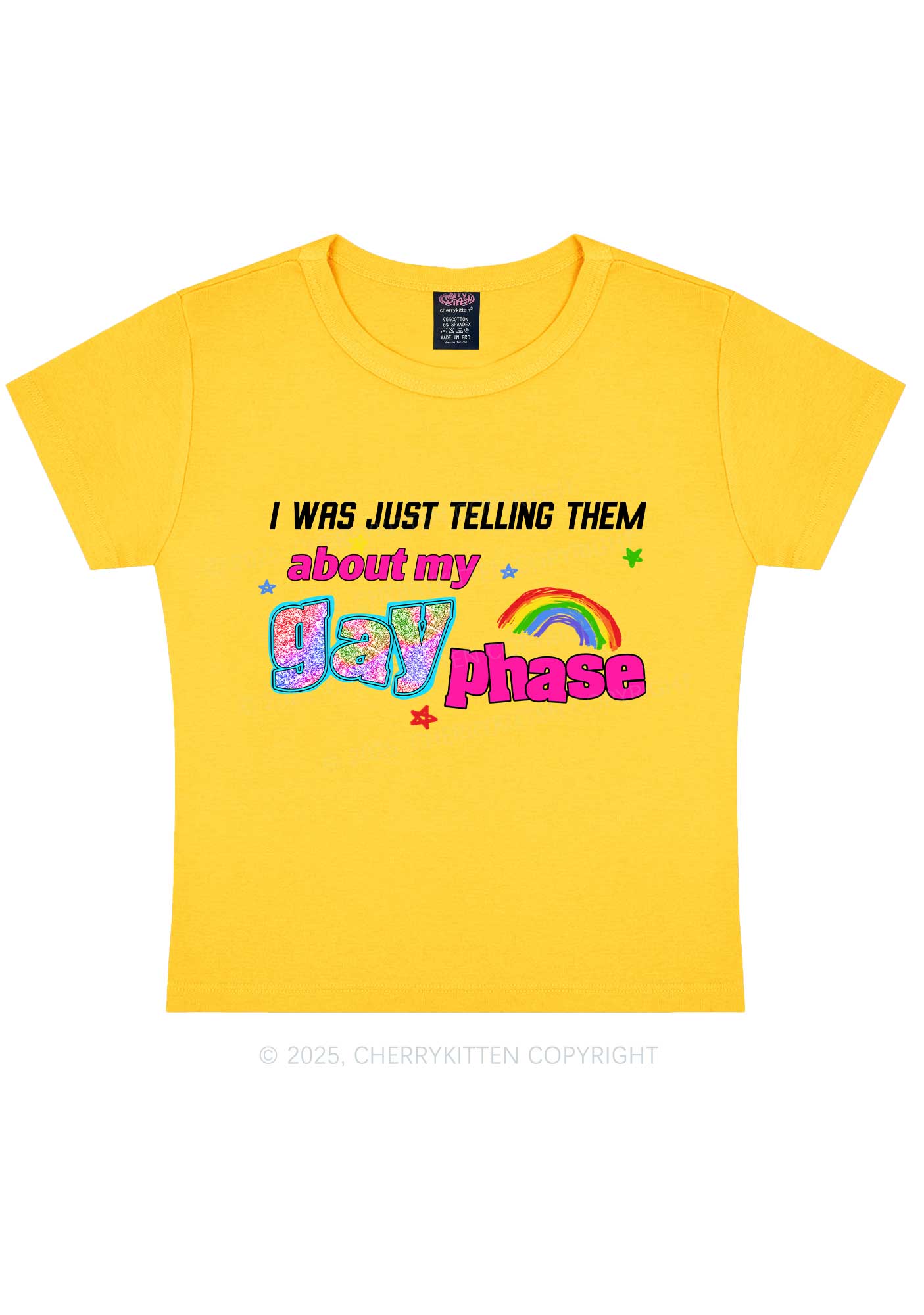 My Gay Phase Pride Y2K Baby Tee Cherrykitten
