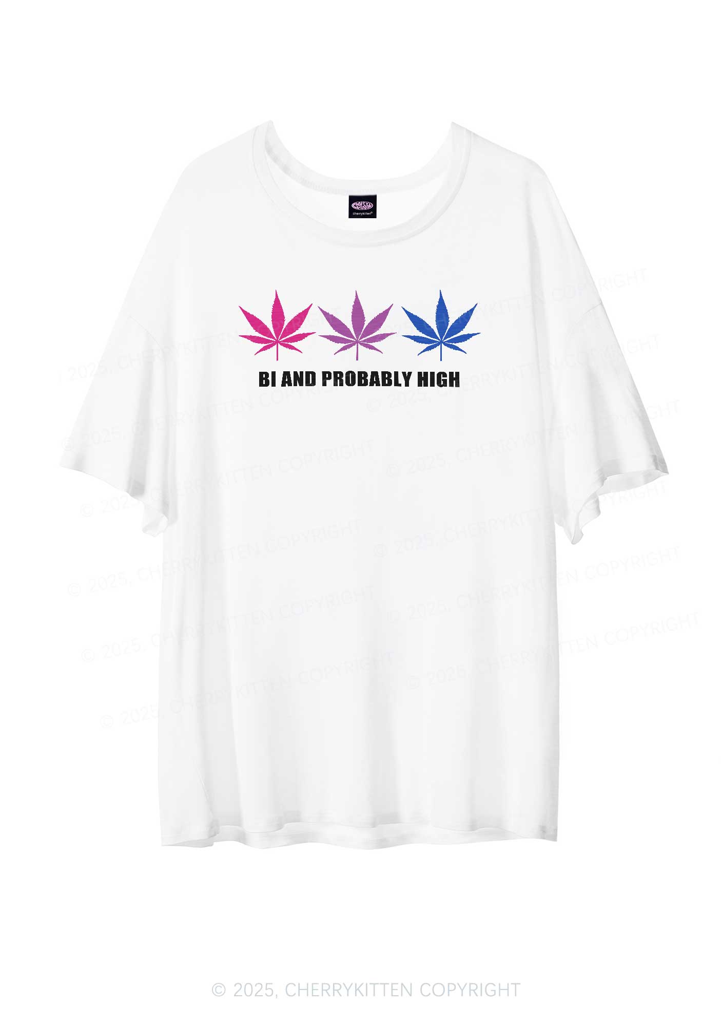 Bi Probably High Pride Y2K Sheer Boyfriend Tee Cherrykitten