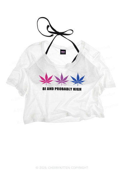 Bi Probably High Pride Y2K Sheer Crop Tee Cherrykitten