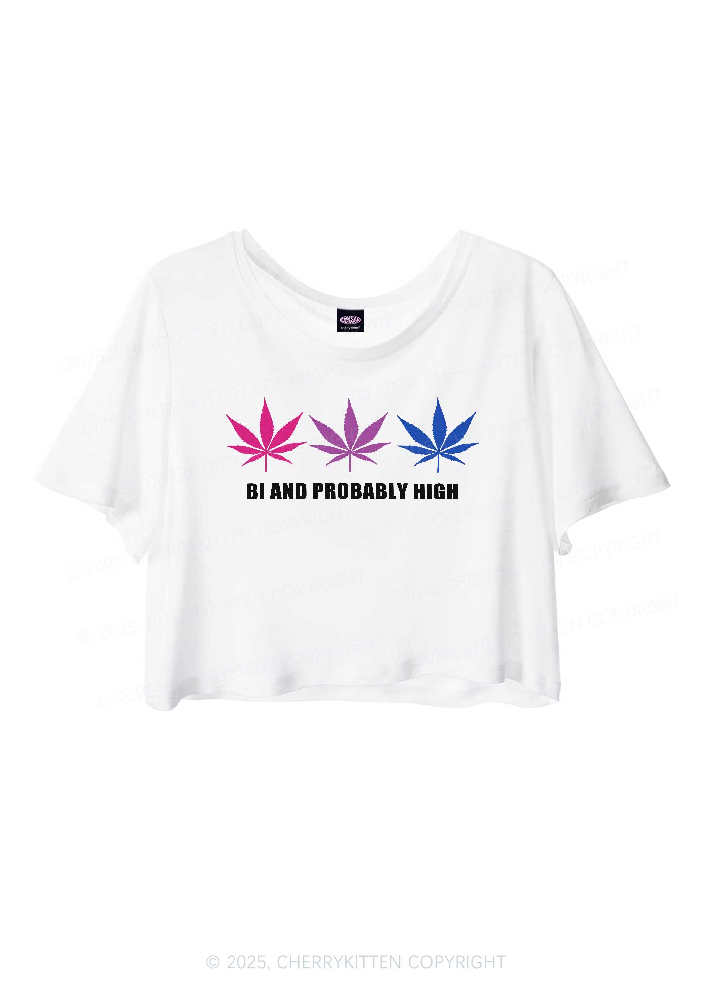 Bi Probably High Pride Y2K Sheer Crop Tee Cherrykitten