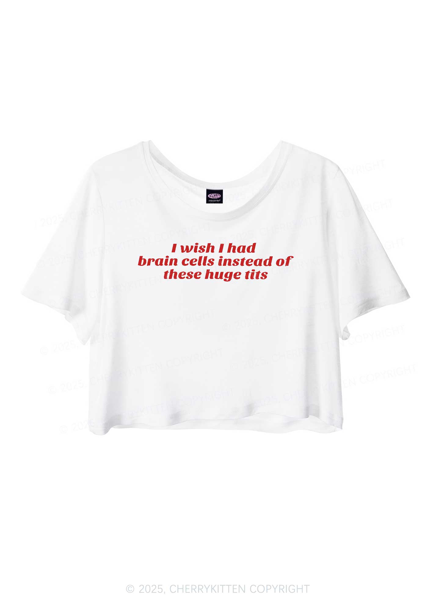 I Wish Brain Cells Y2K Sheer Crop Tee Cherrykitten
