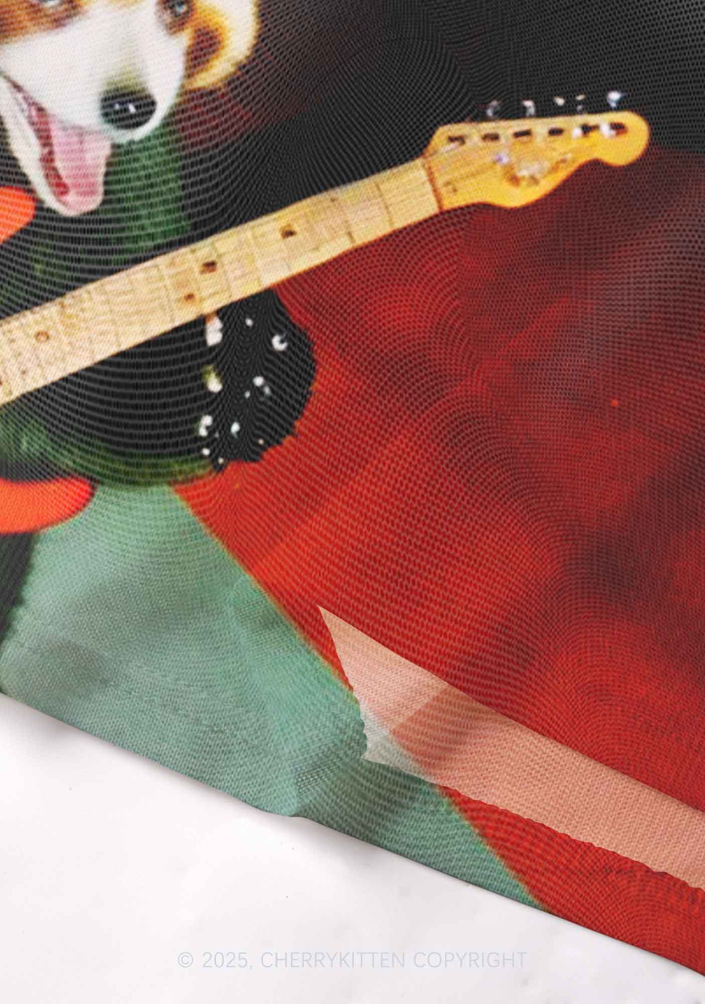 Guitar Raccoon Y2K Mesh Cami Tank Cherrykitten