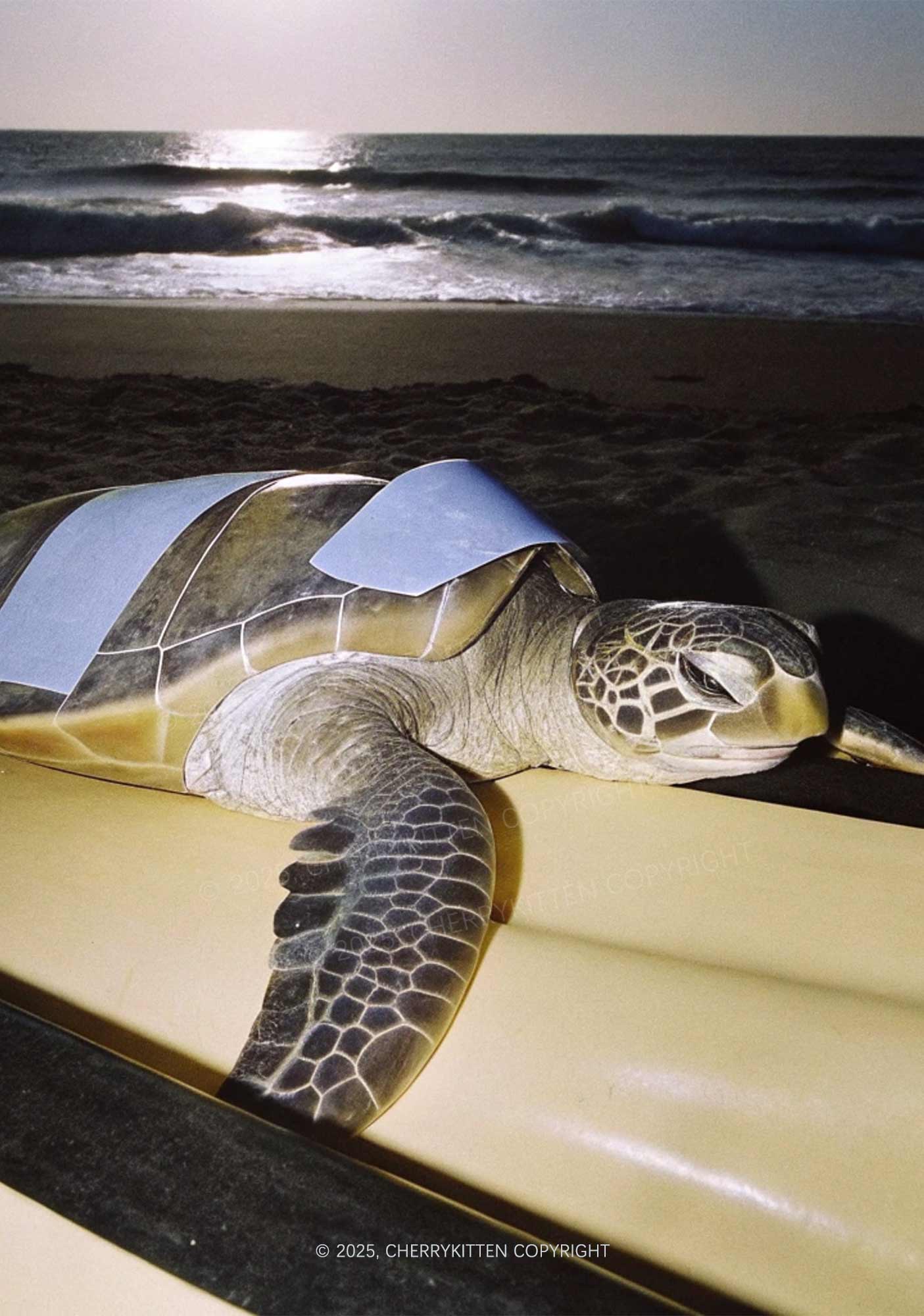 Turtle On Surfboard Y2K Print Midi Skirt Cherrykitten