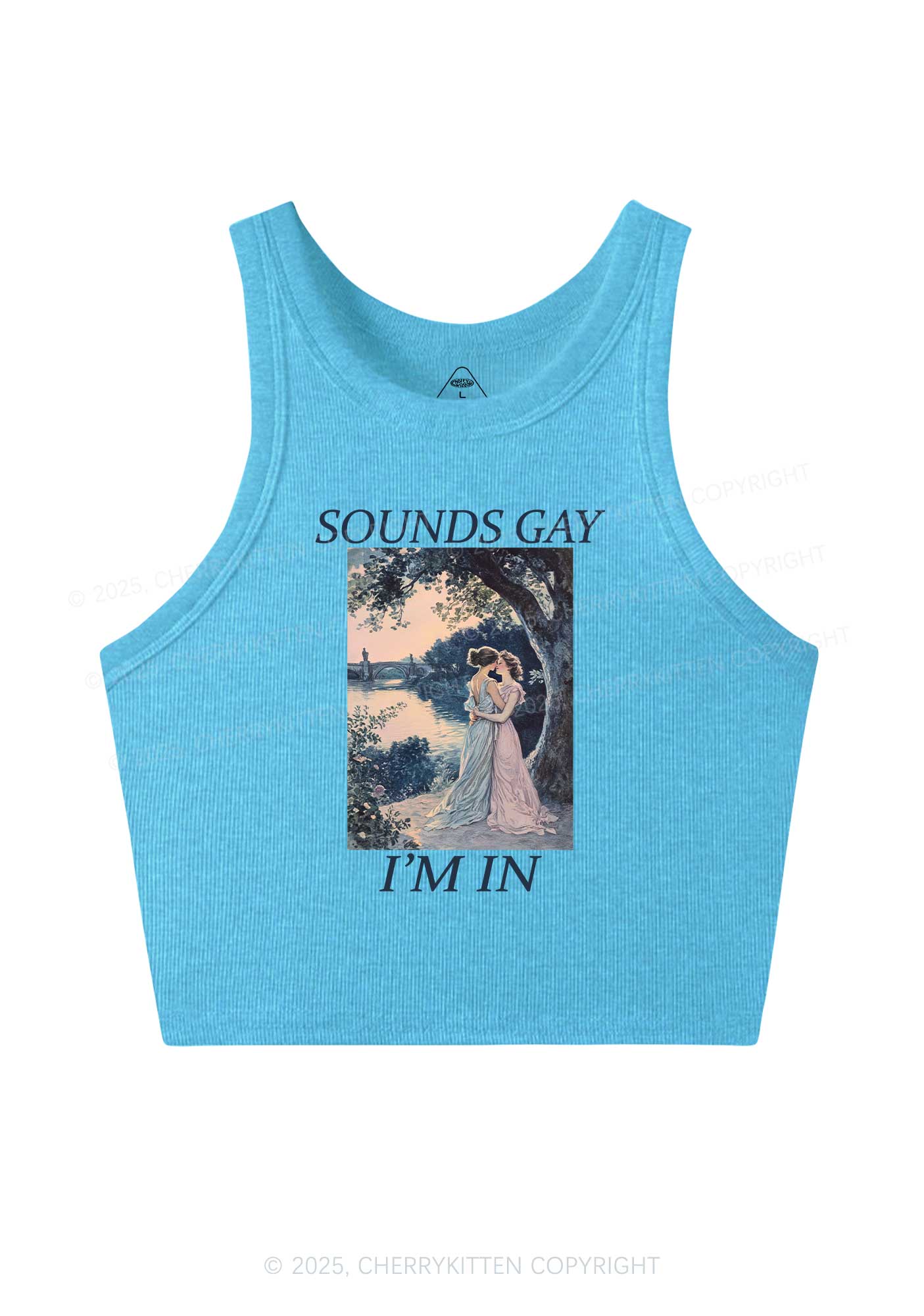 Sounds Gay Im In Pride Y2K Crop Tank Top Cherrykitten