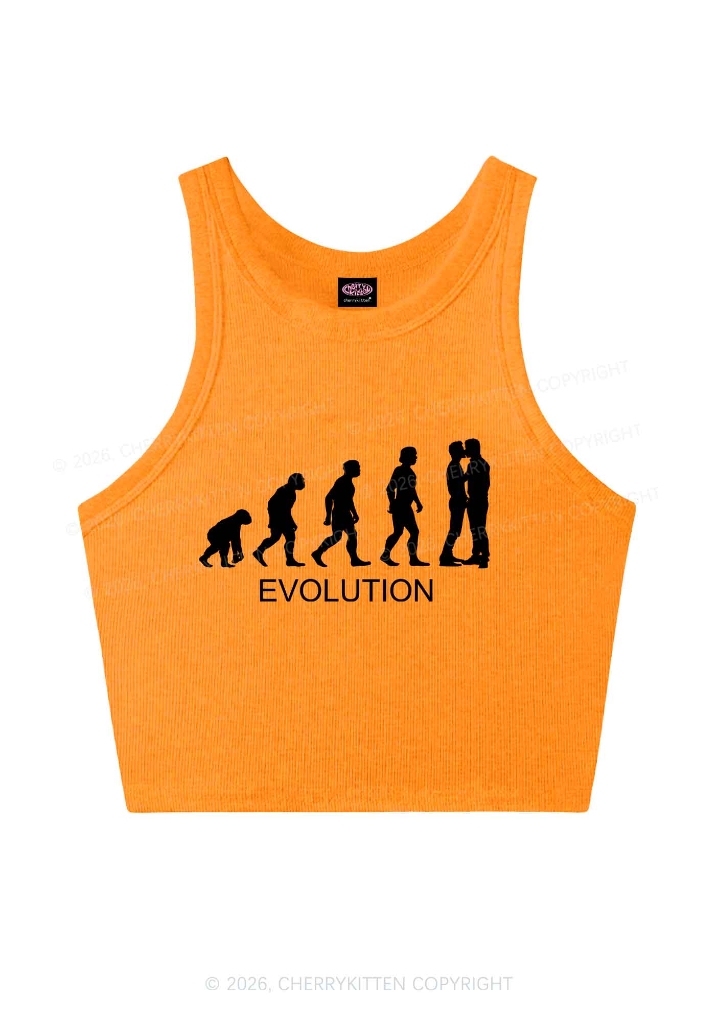 Gay Evolution Pride Y2K Crop Tank Top Cherrykitten