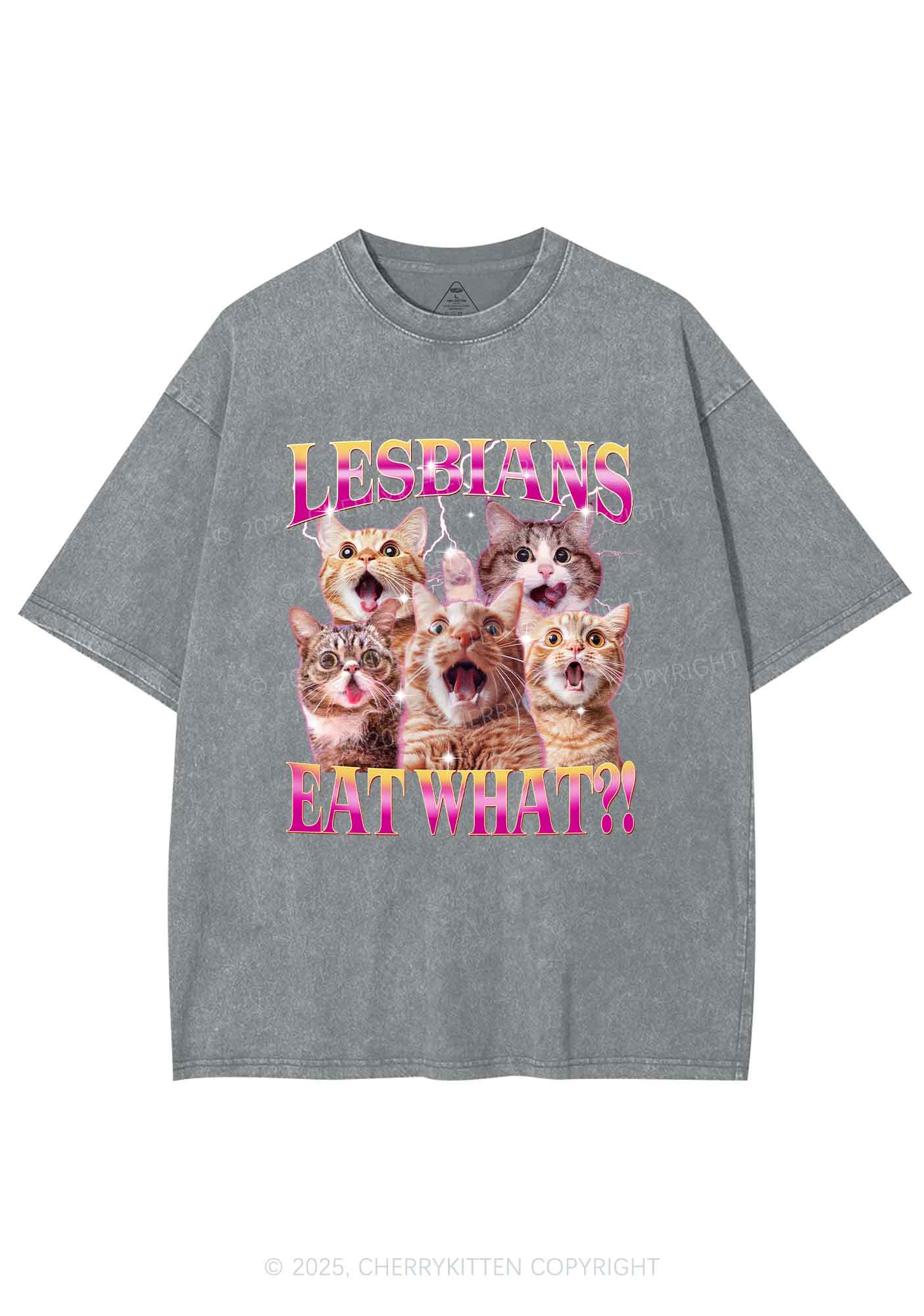 Funny Lesbian Cat Y2K Shirts Washed Tee Cherrykitten