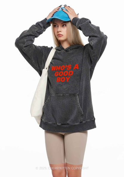 Whos A Good Boy Y2K Washed Hoodie Cherrykitten