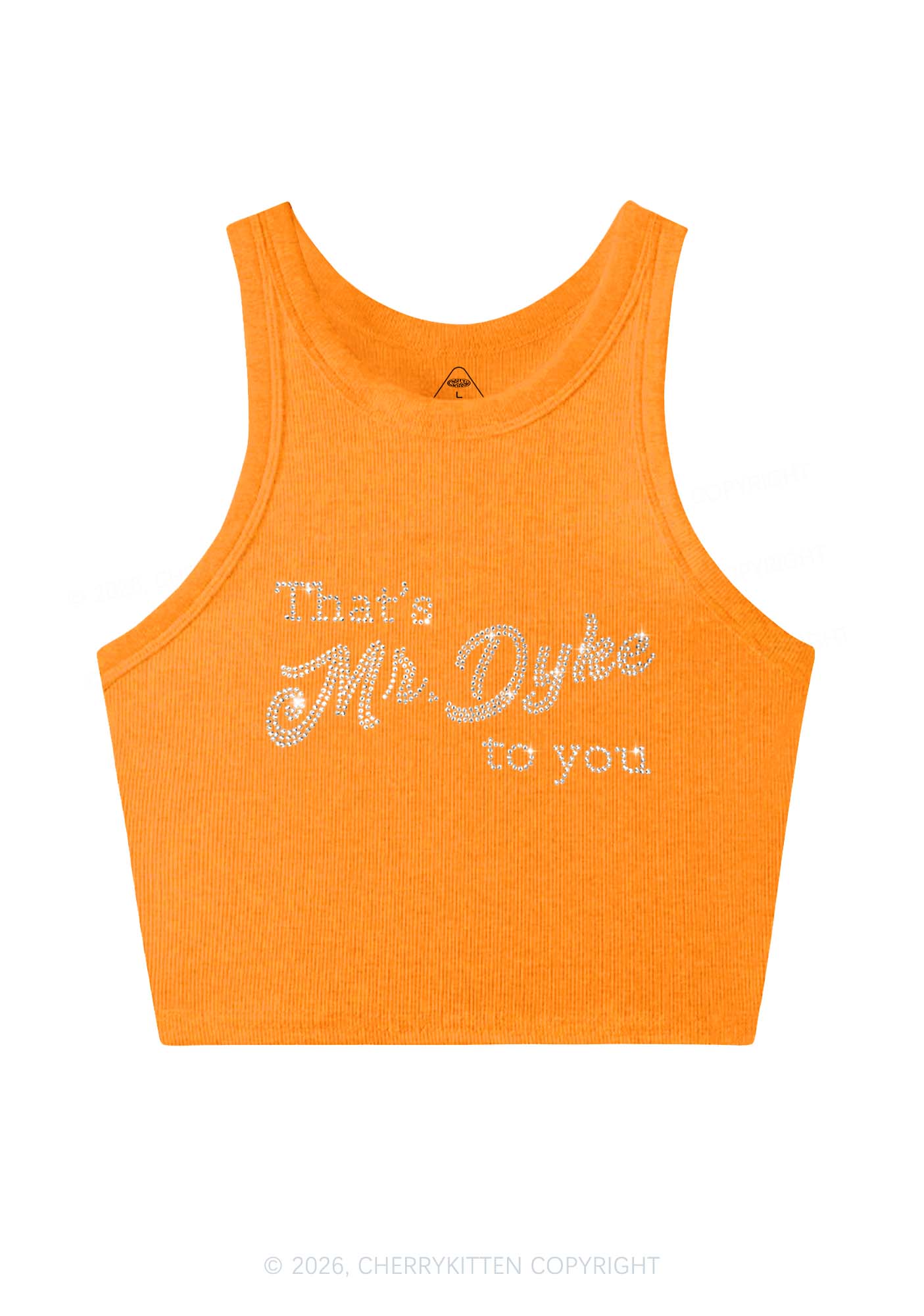 Rhinestone Thats Mr Dyke To You Pride Y2K Crop Tank Top Cherrykitten