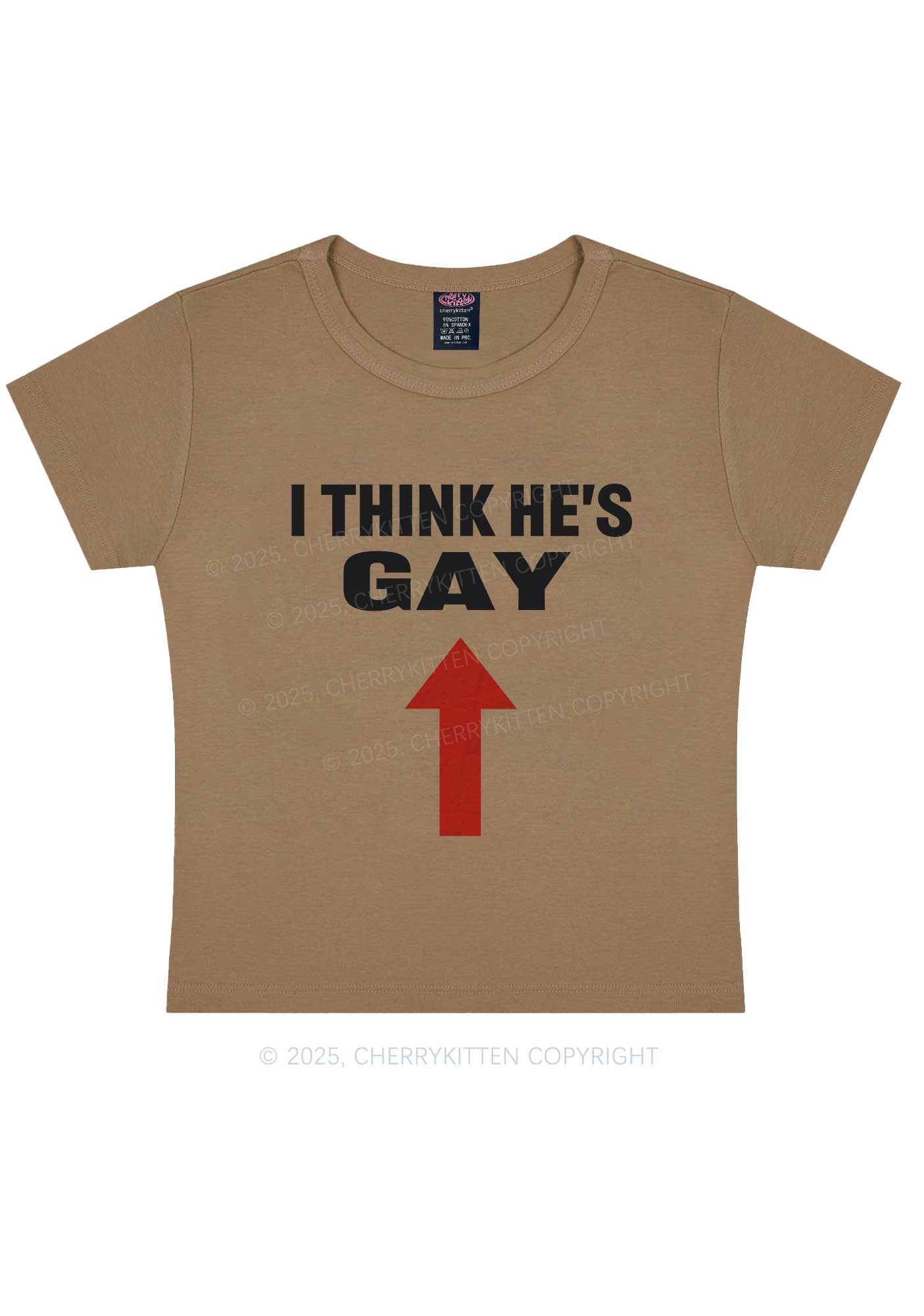 He Is Gay Y2K Baby Tee Cherrykitten