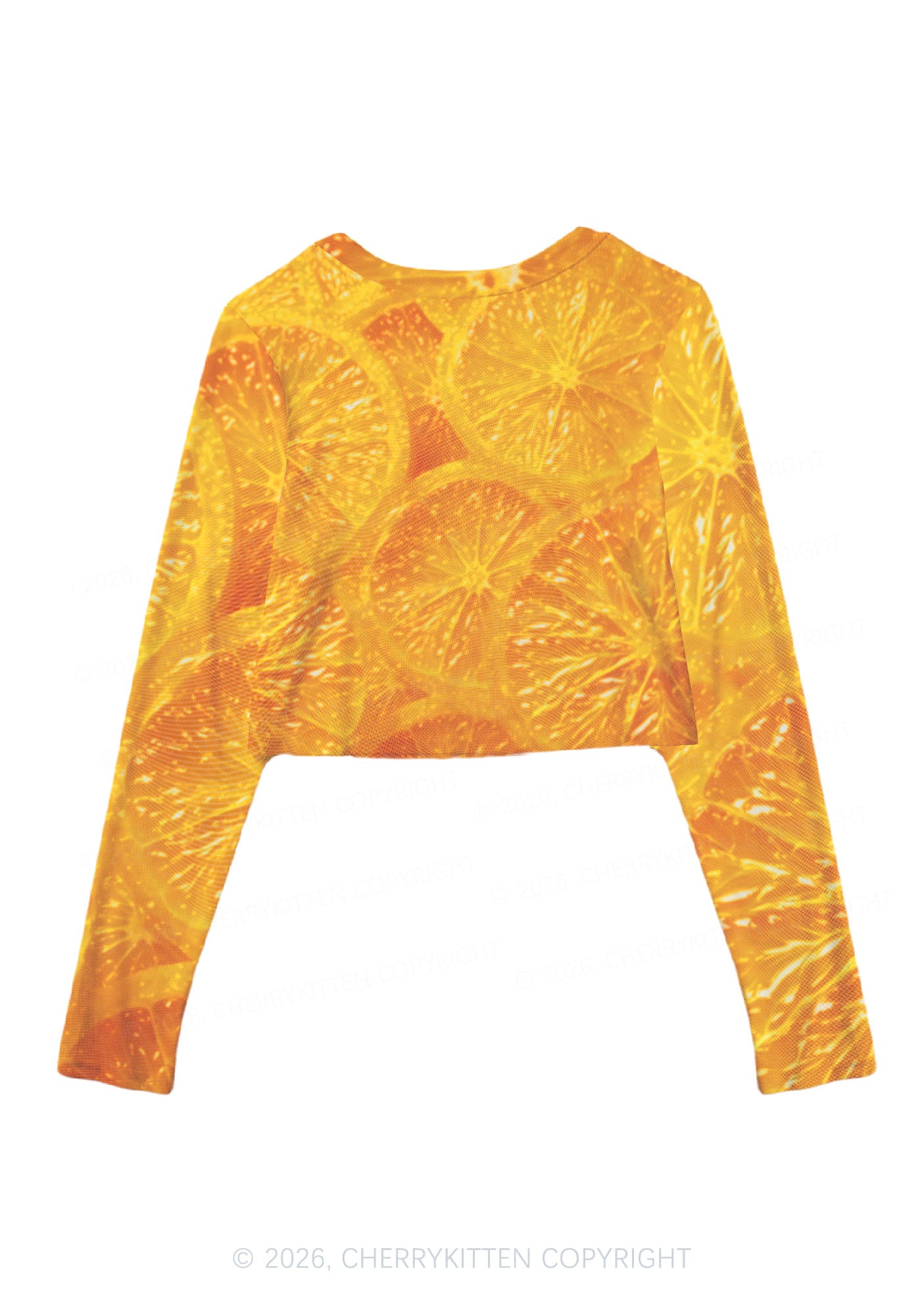 Orange Slice Y2K Mesh Long Sleeve Crop Top Cherrykitten