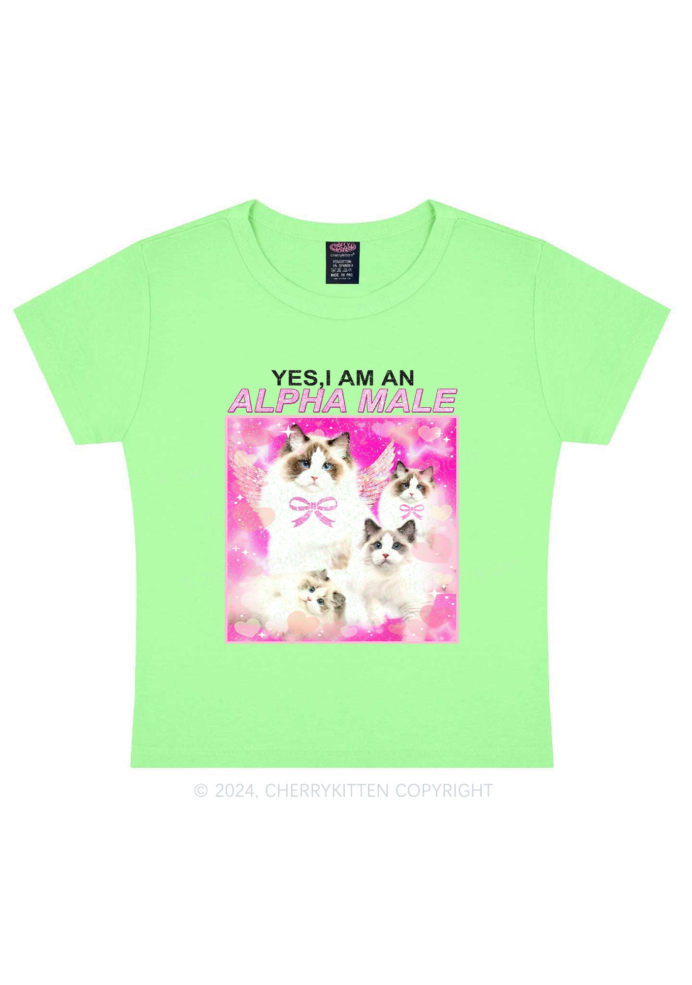 Alpha Male Y2K Baby Tee Cherrykitten