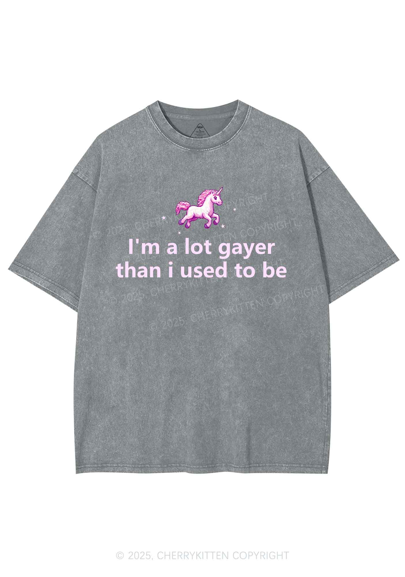 Im A Lot Gayer Pride Y2K Shirts Washed Tee Cherrykitten