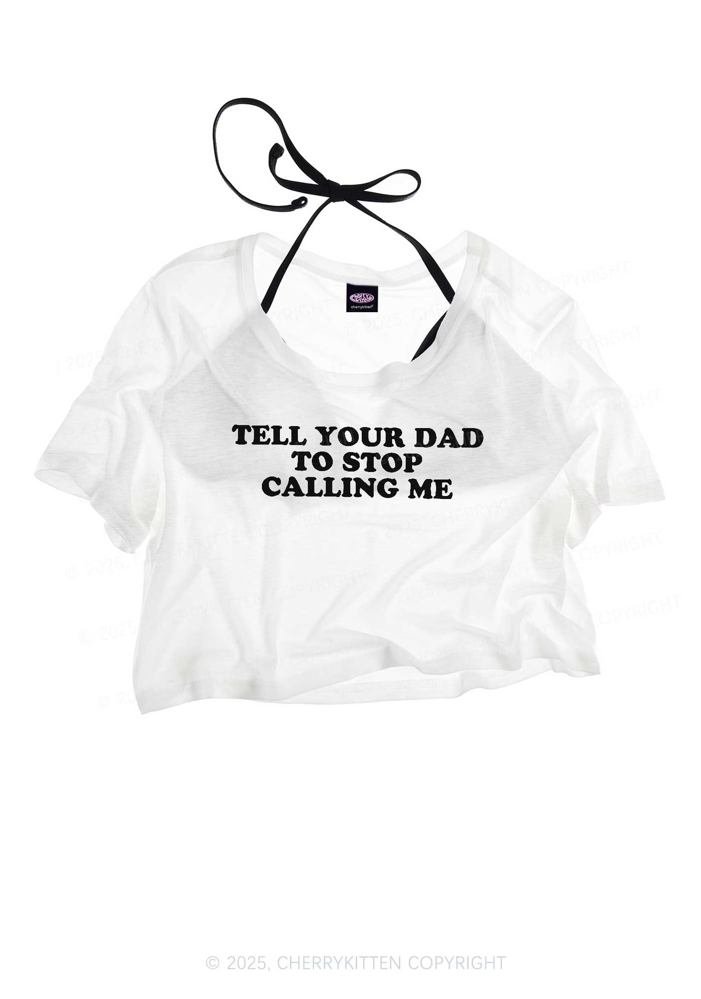 Dad Stop Calling Me Y2K Sheer Crop Tee Cherrykitten