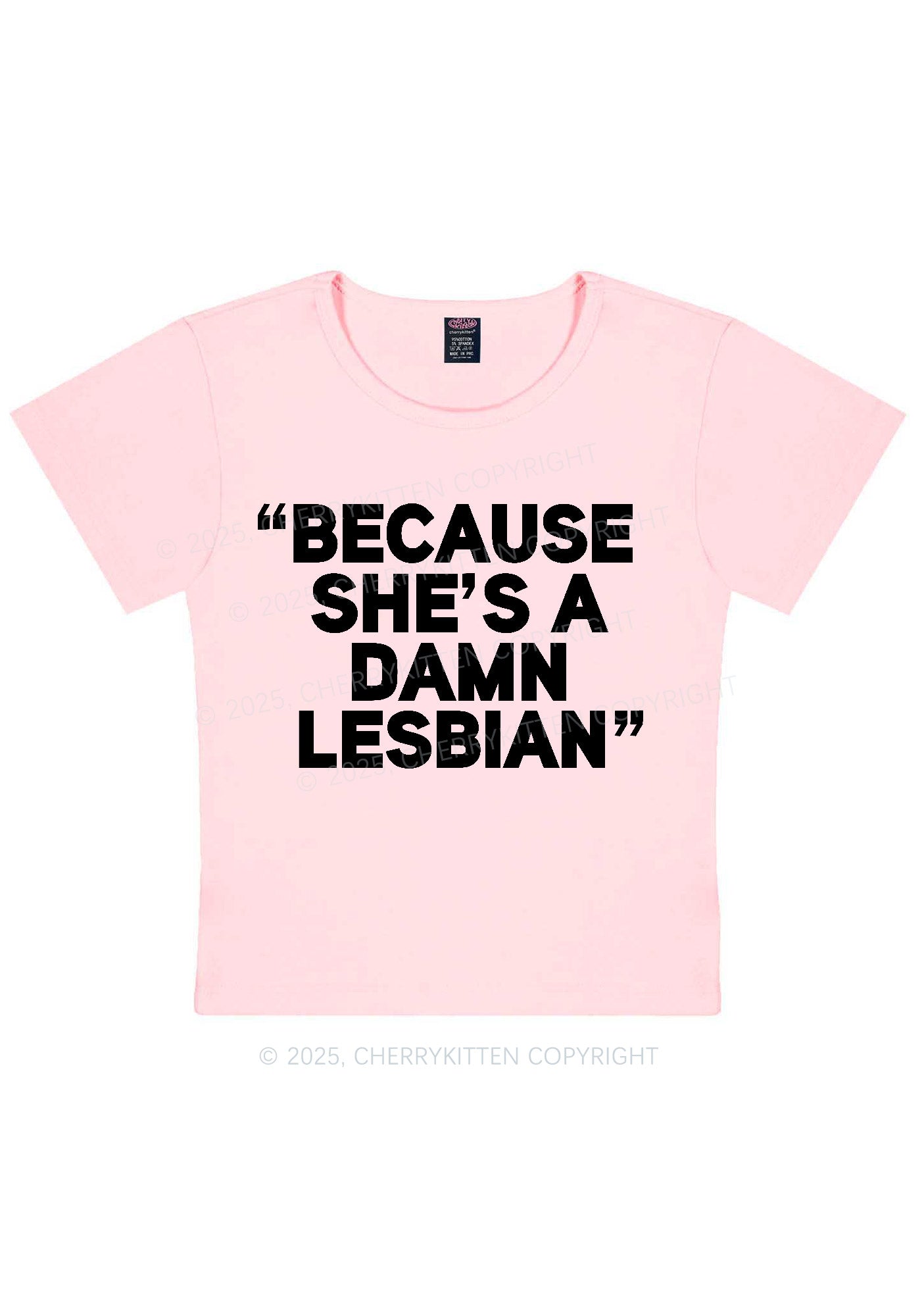 She's A Damn Lesbian Y2K Baby Tee Cherrykitten