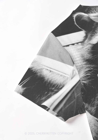 Cool Raccoon Y2K Mesh Crop Top Cherrykitten