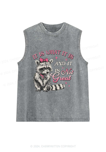 Not Great Raccoon Y2K Washed Tank Cherrykitten