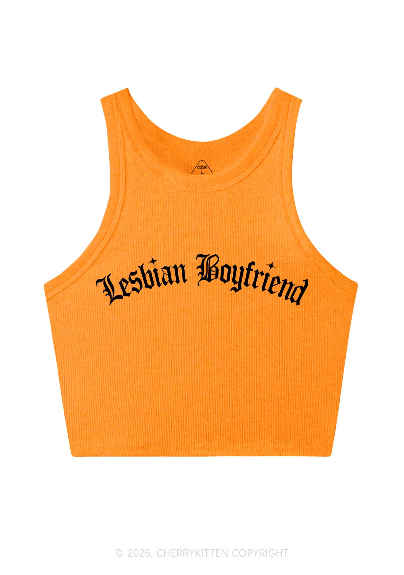 Lesbian Boyfriend Pride Y2K Crop Tank Top Cherrykitten