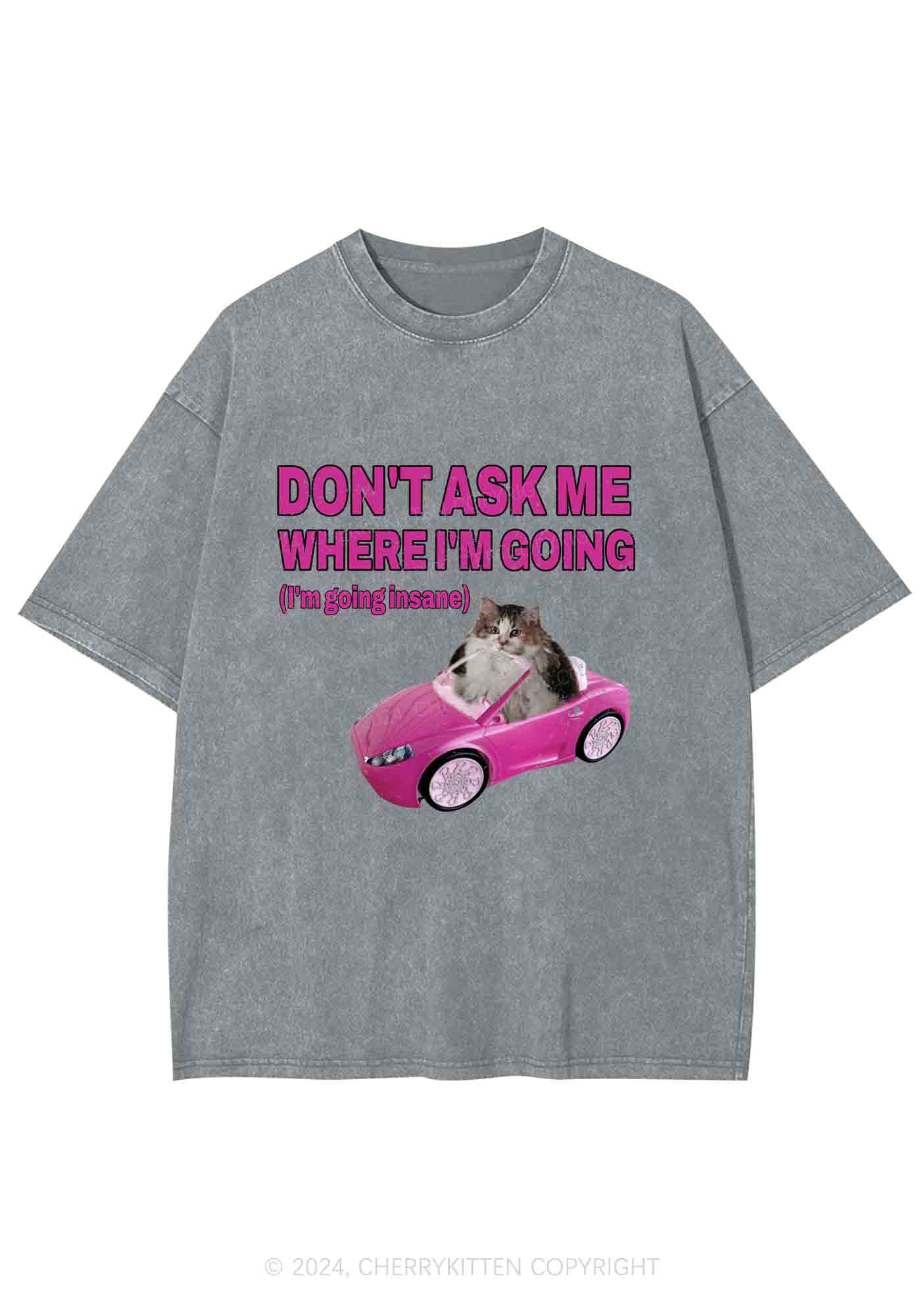 I'm Going Insane Y2K Washed Tee Cherrykitten