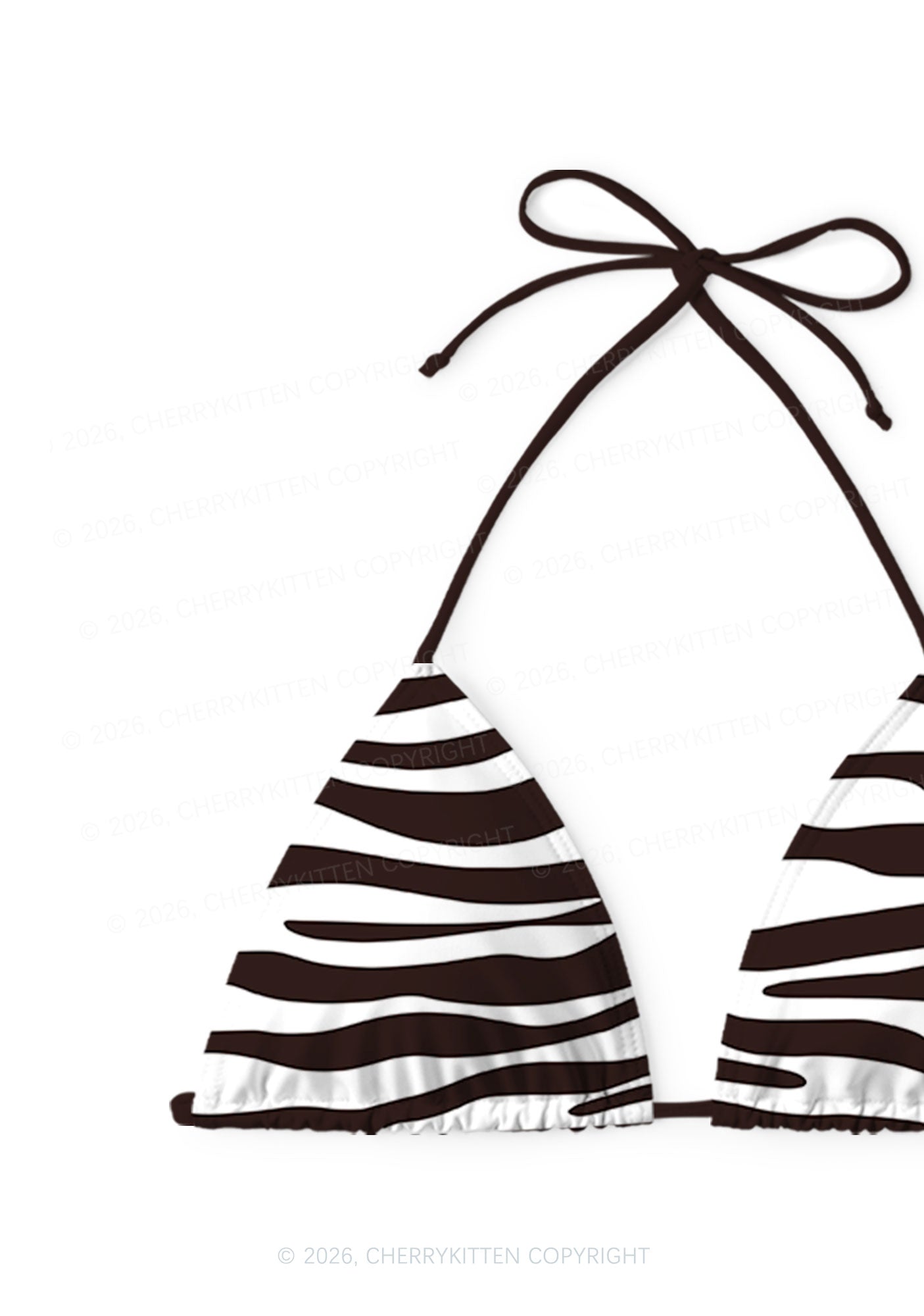 Classic Zebra Stripes Y2K Print Bikini Set Cherrykitten