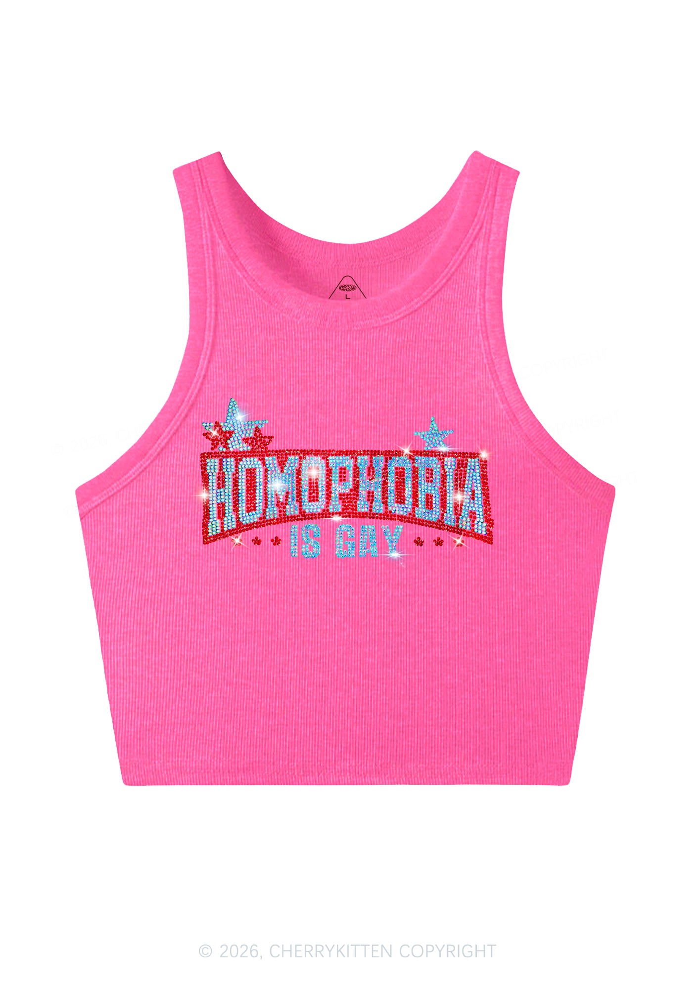 Rhinestone Homophobia Is Gay Pride Y2K Crop Tank Top Cherrykitten