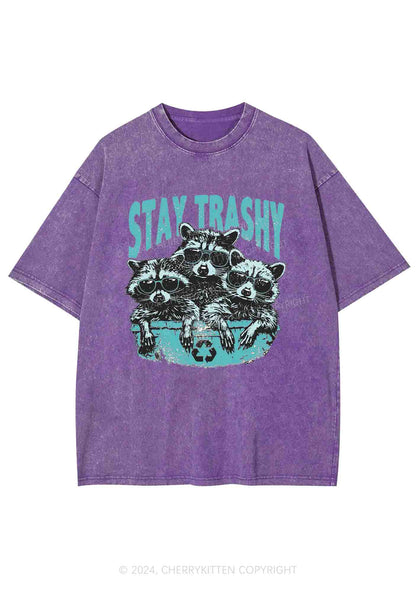 Stay Trashy Raccoons Y2K Washed Tee Cherrykitten