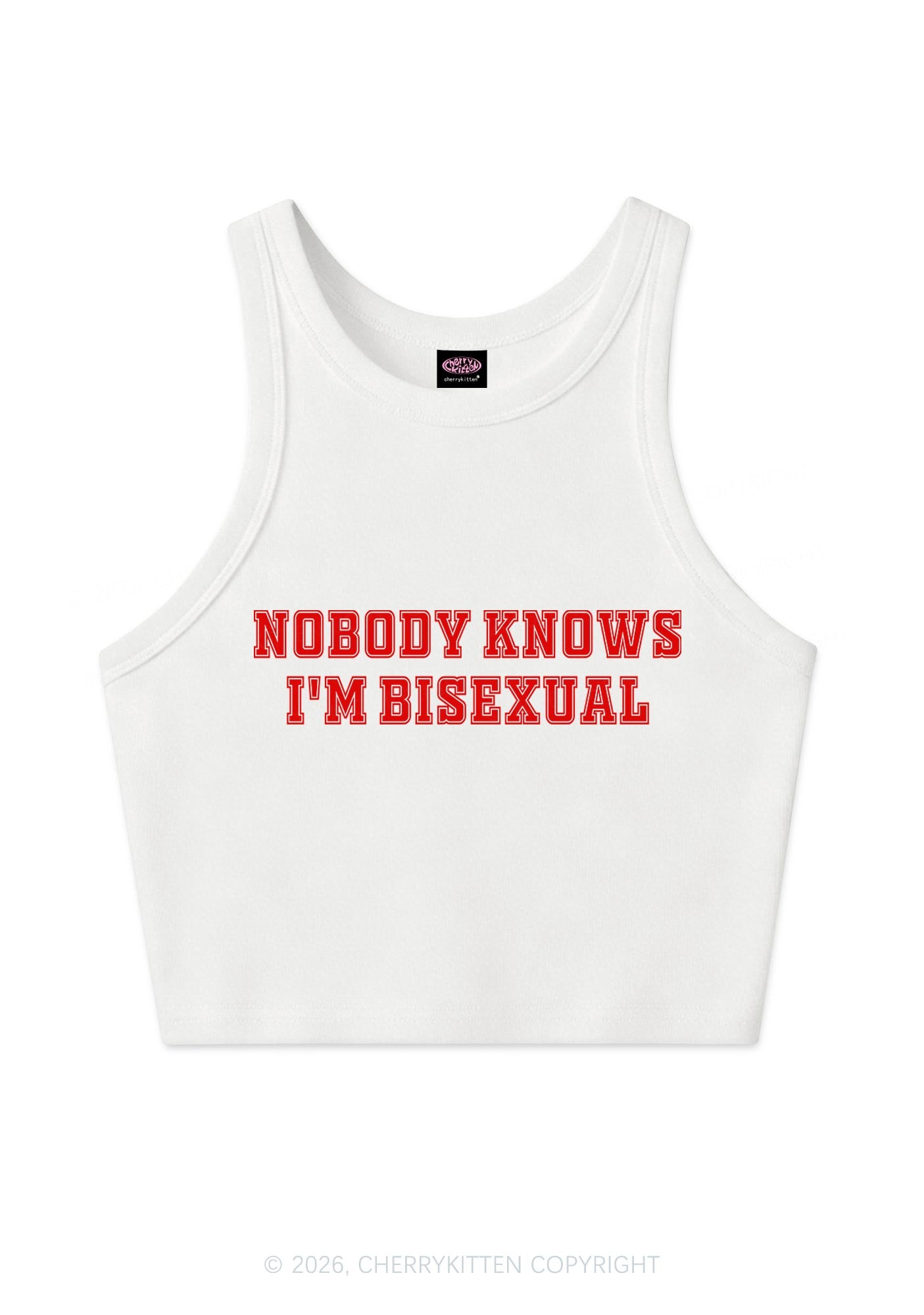Nobody Knows Im Bisexual Pride Y2K Crop Tank Top Cherrykitten