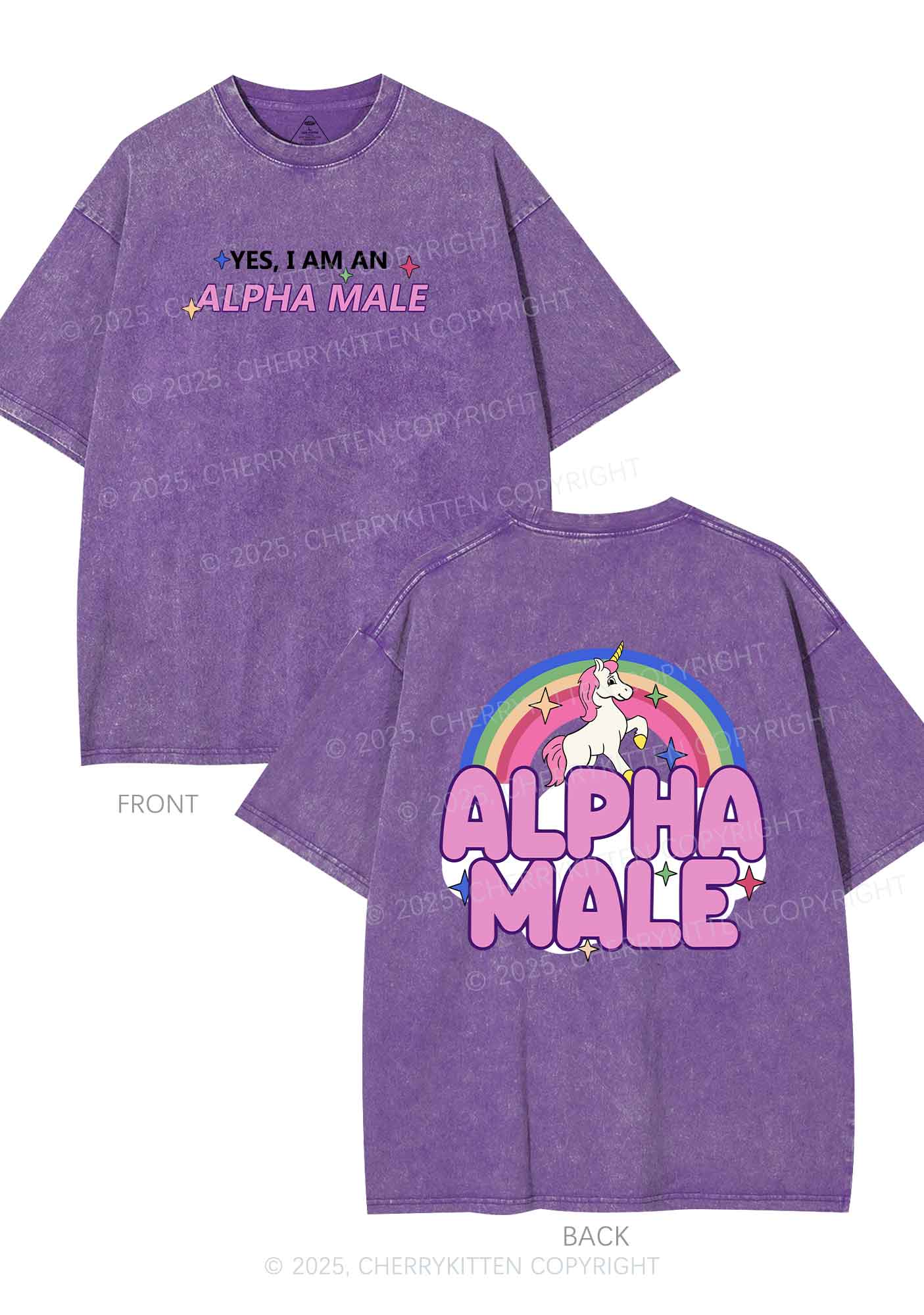 Alpha Male Two Sides Pride Y2K Shirts Washed Tee Cherrykitten