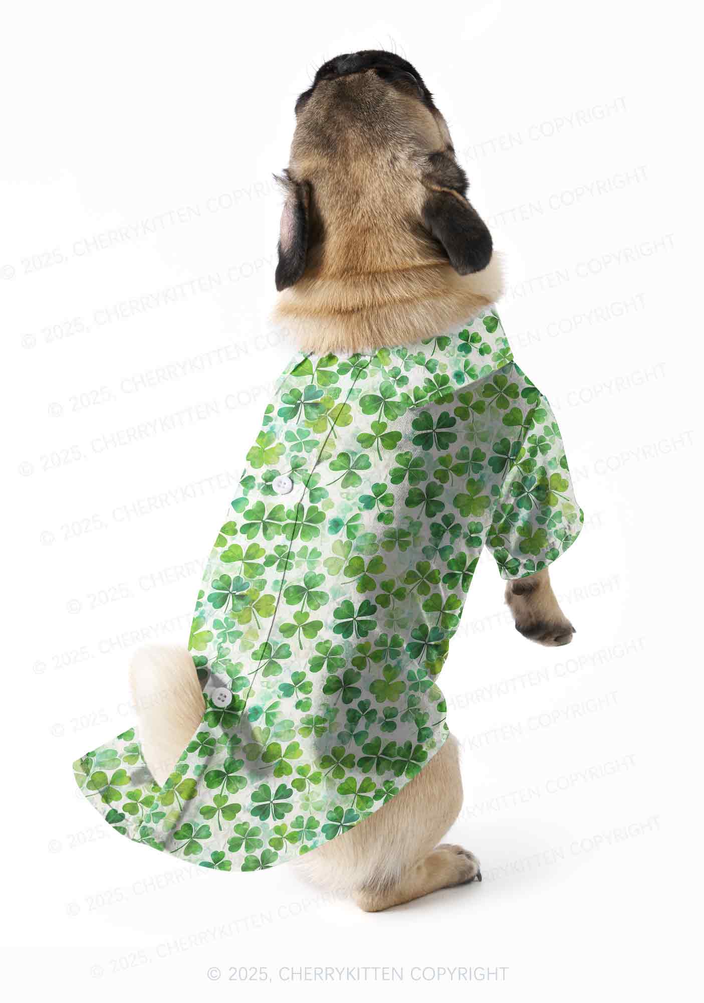 Green Shamrock Y2K Pet Shirts Cherrykitten