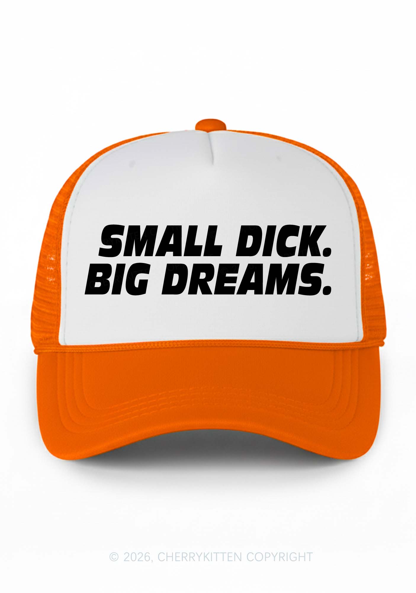 Small Dxxk Big Dreams Y2K Colorblock Trucker Hat Cherrykitten
