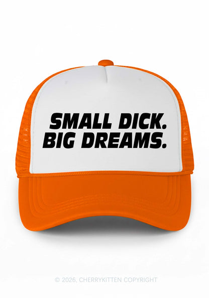 Small Dxxk Big Dreams Y2K Colorblock Trucker Hat Cherrykitten