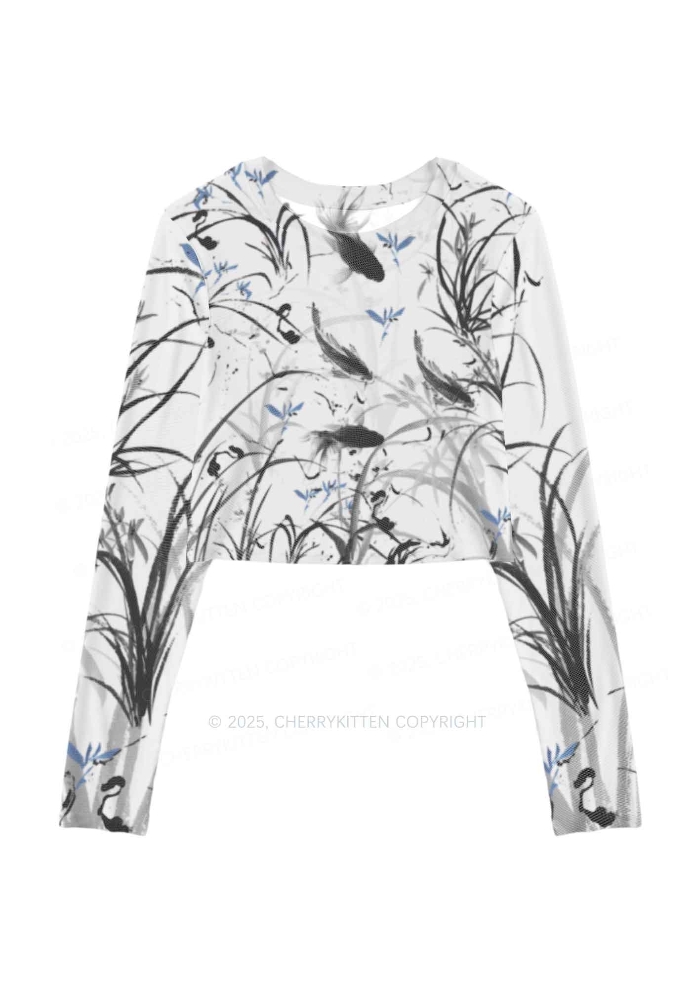 Ink Carp Y2K Mesh Long Sleeve Crop Top Cherrykitten