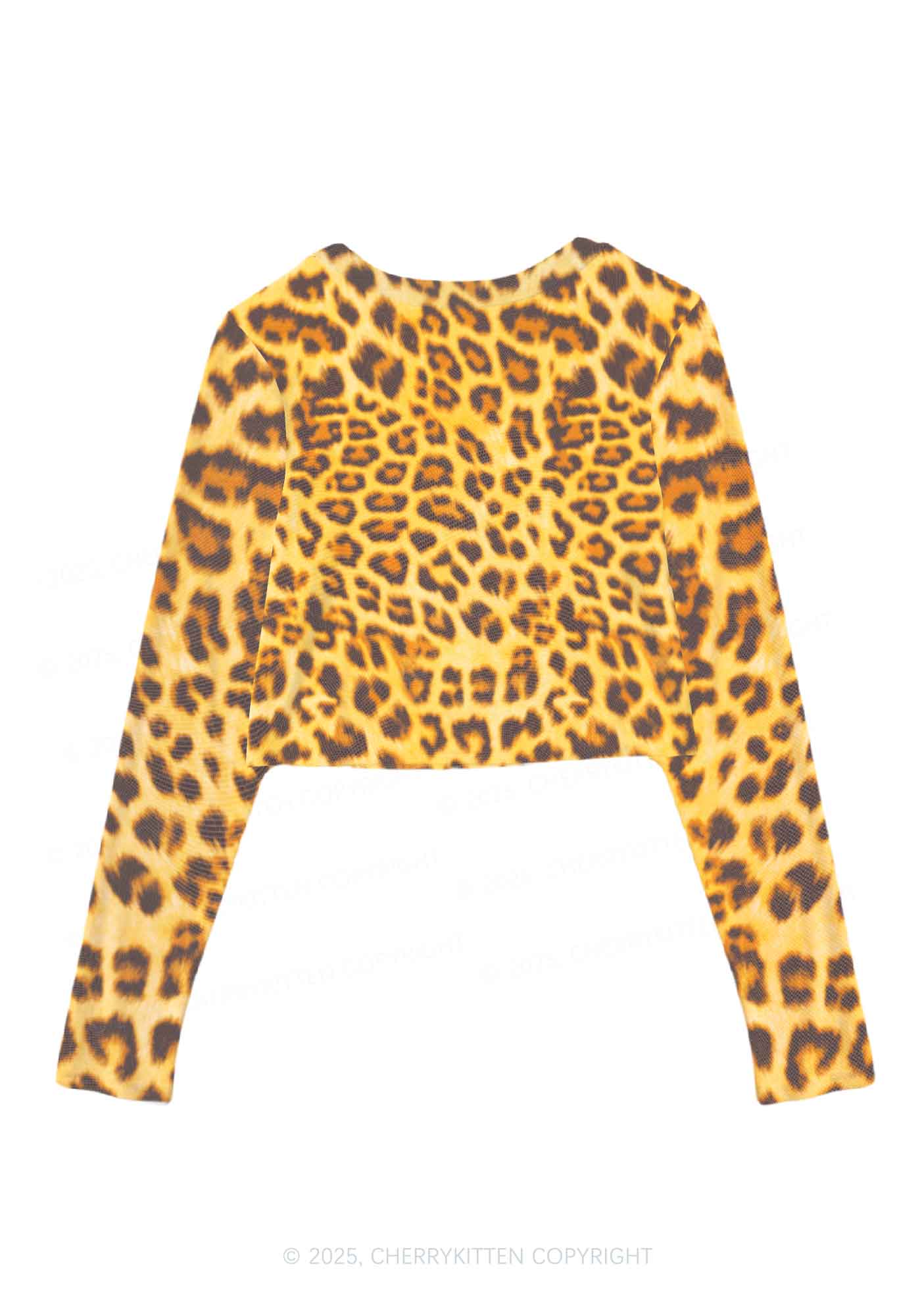 Brown Leopard Y2K Mesh Long Sleeve Crop Top Cherrykitten