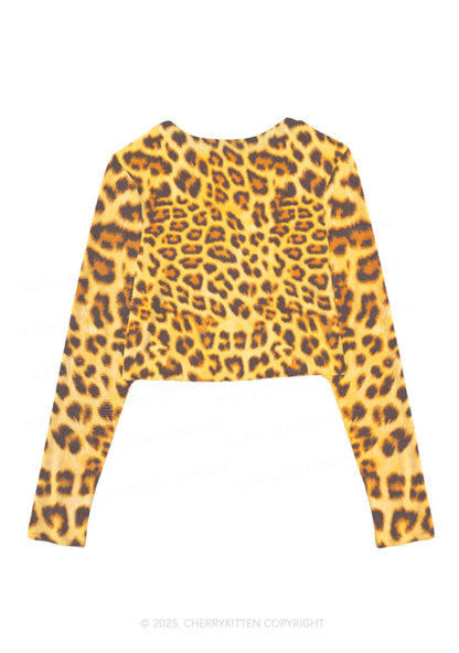 Brown Leopard Y2K Mesh Long Sleeve Crop Top Cherrykitten