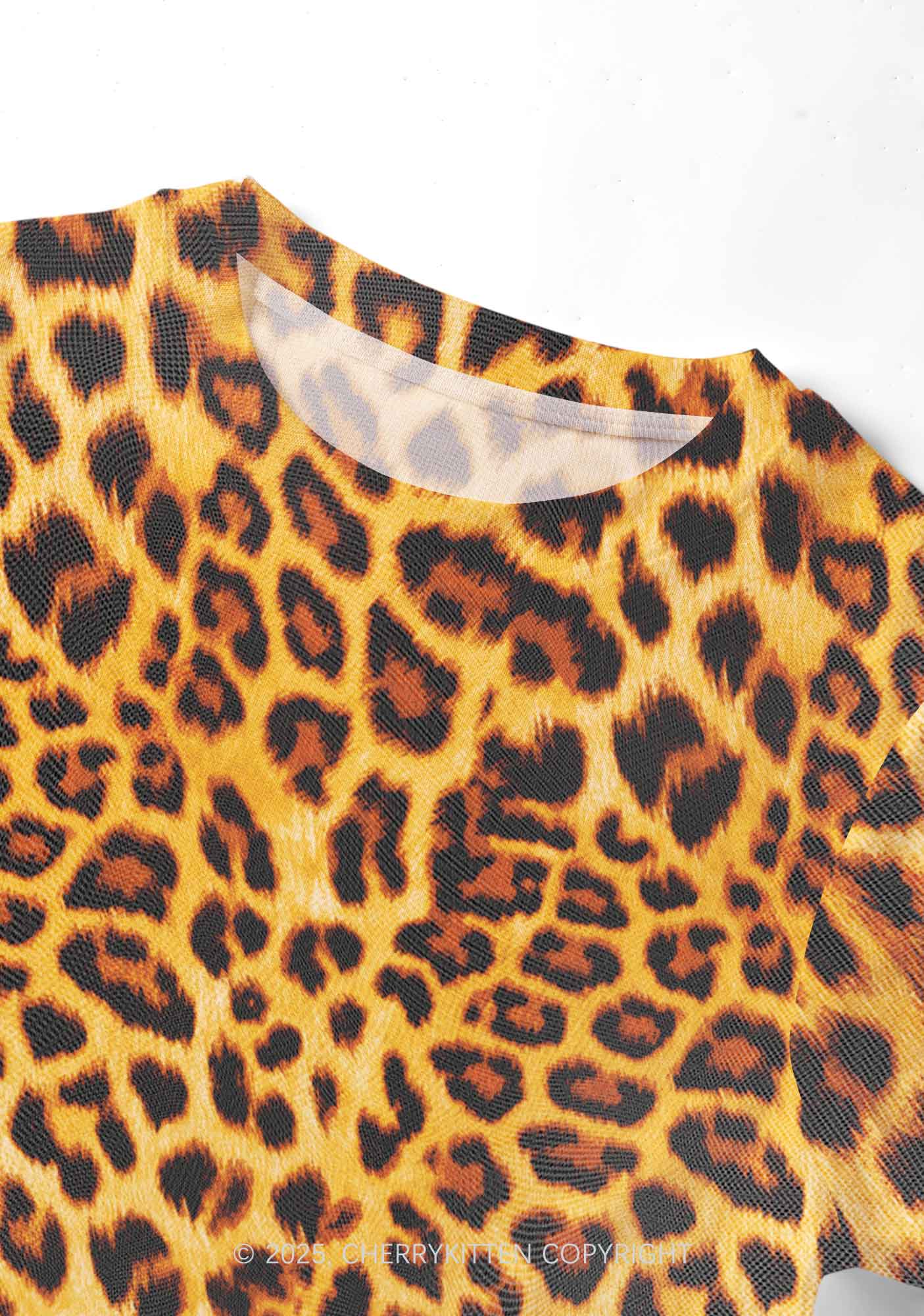 Brown Leopard Y2K Mesh Crop Top Cherrykitten