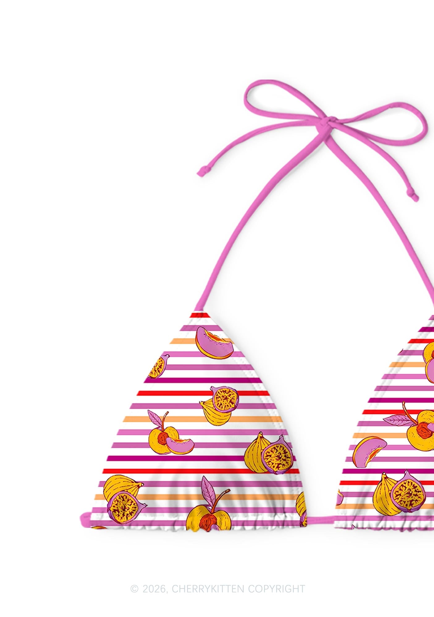 Peachy Lesbian Stripe Pride Y2K Print Bikini Set Cherrykitten