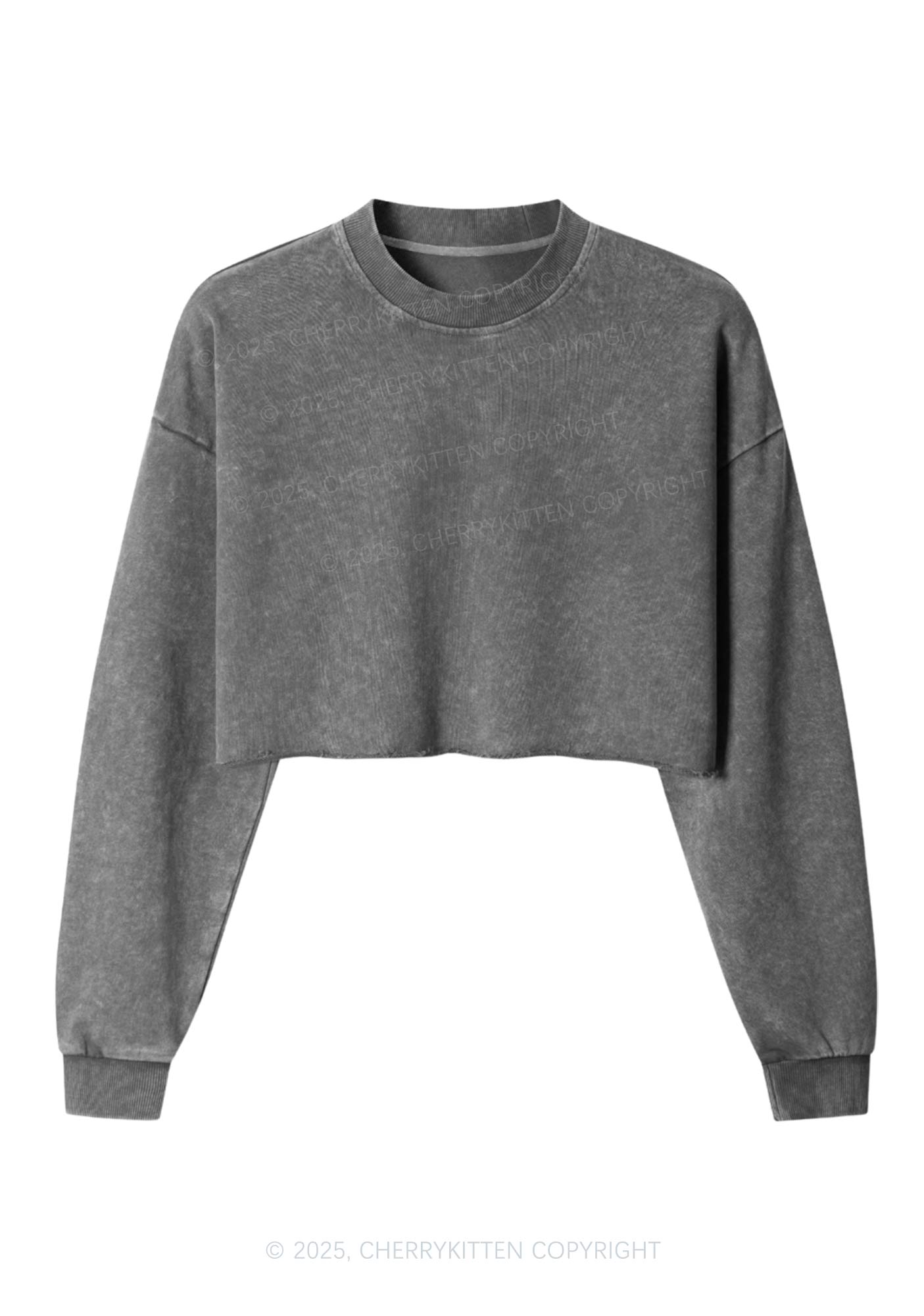 Plain Y2K Crop Washed Sweatshirts Cherrykitten
