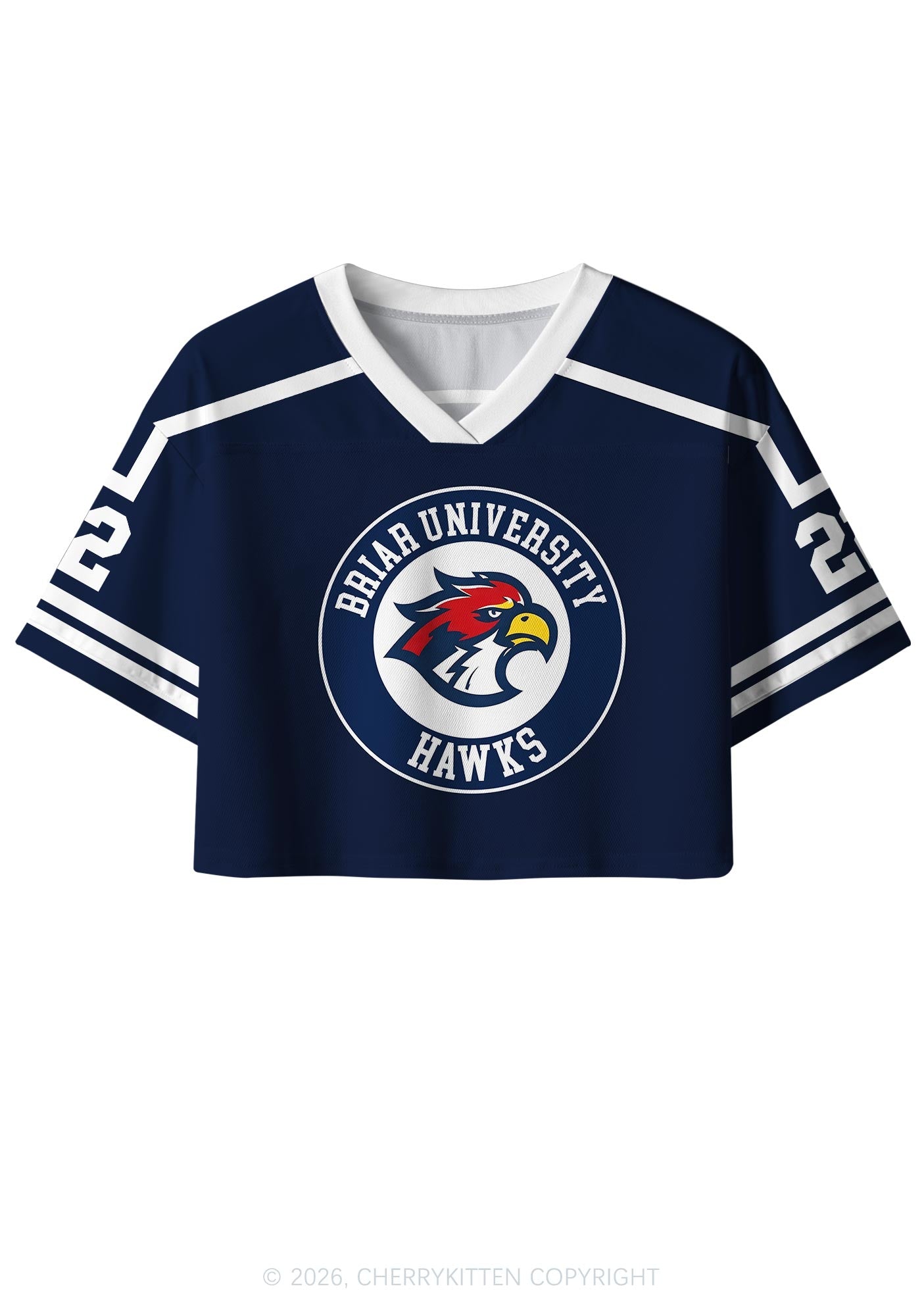 College Hockey Team JL Y2K Crop Sport Jersey Shirts Cherrykitten