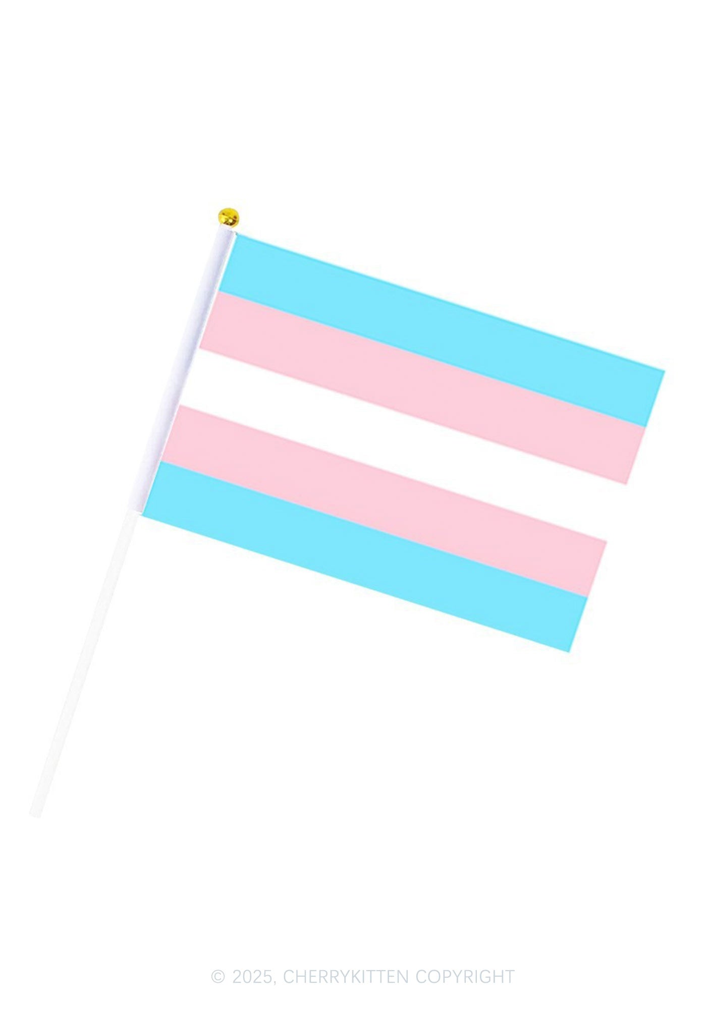 Y2K Pride Hand Flags Cherrykitten