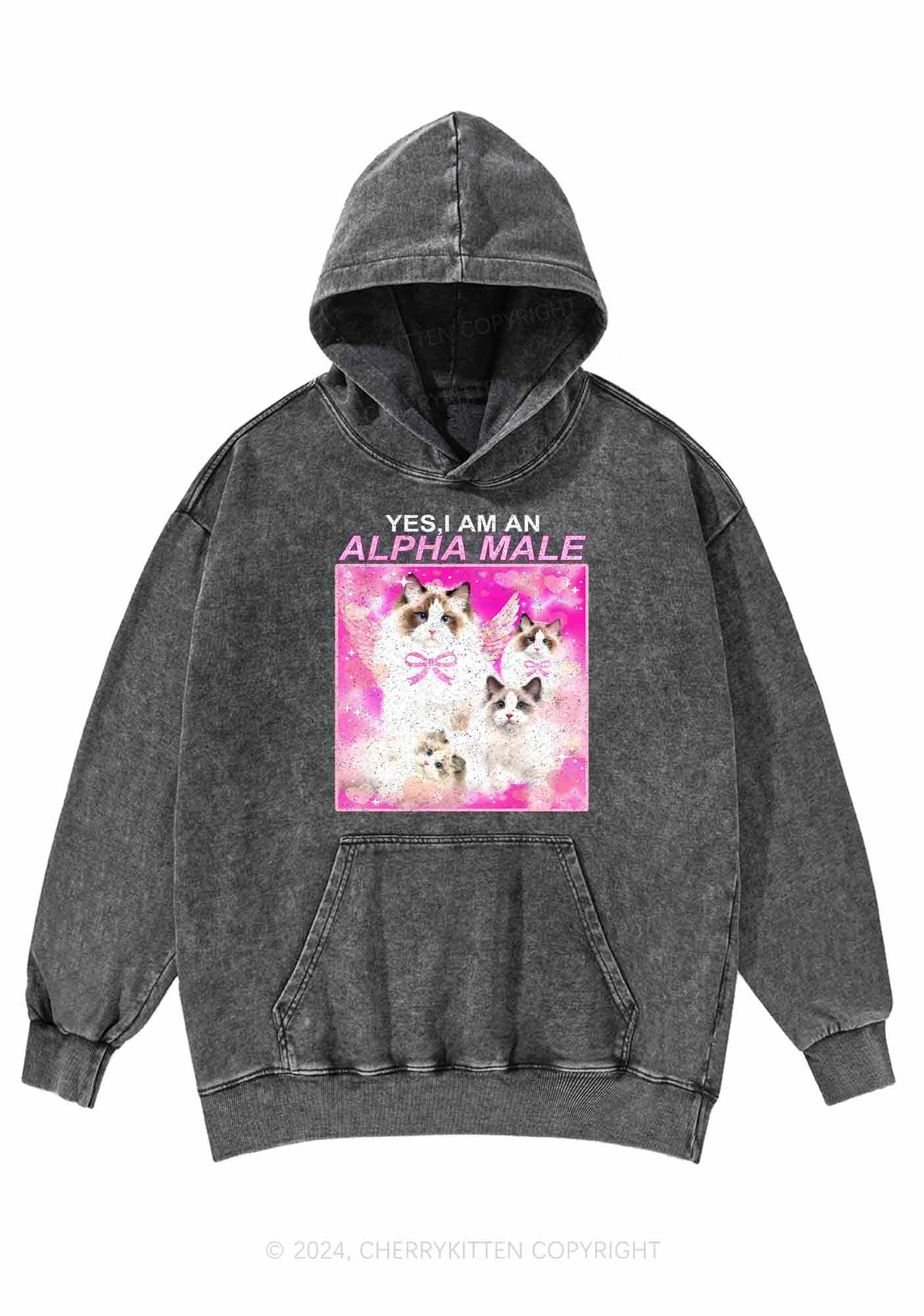 Alpha Male Y2K Washed Hoodie Cherrykitten