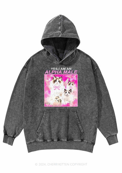 Alpha Male Y2K Washed Hoodie Cherrykitten