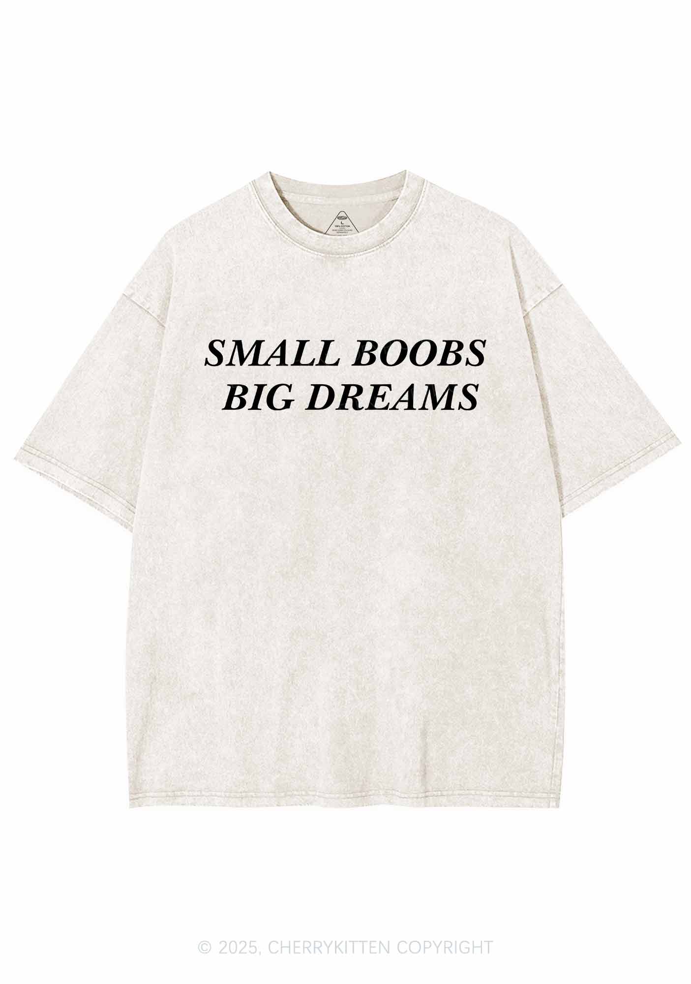 Small But Big Dreams Y2K Shirts Washed Tee Cherrykitten