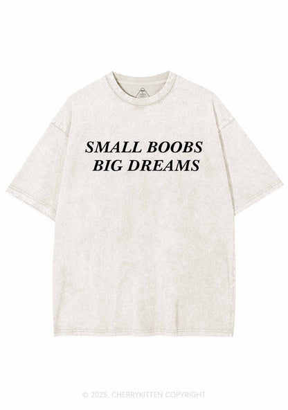 Small But Big Dreams Y2K Shirts Washed Tee Cherrykitten