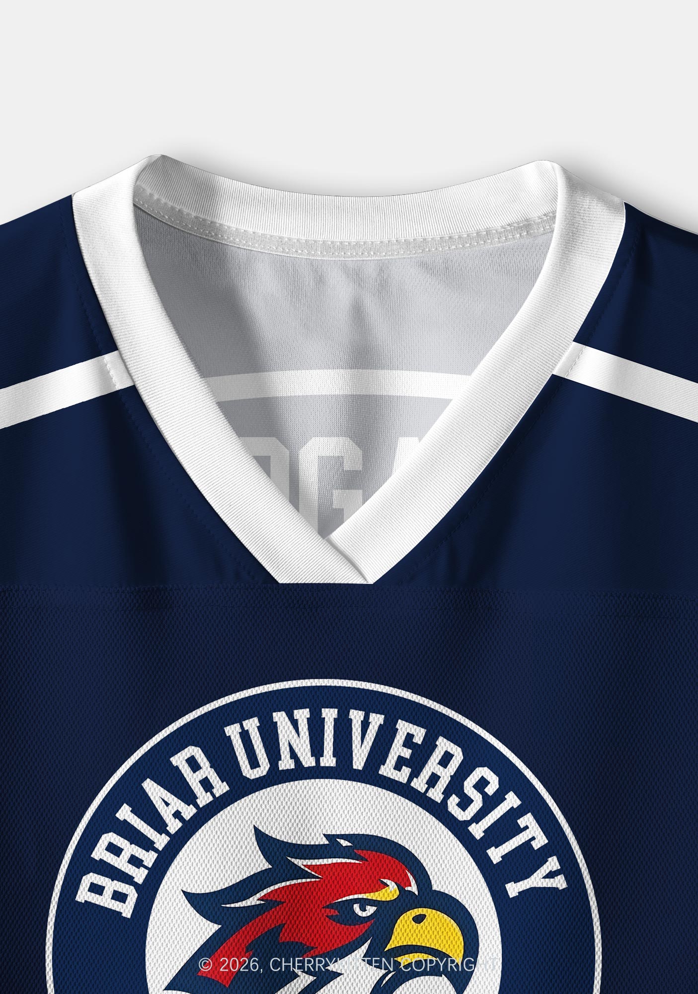 College Hockey Team JL Y2K Crop Sport Jersey Shirts Cherrykitten