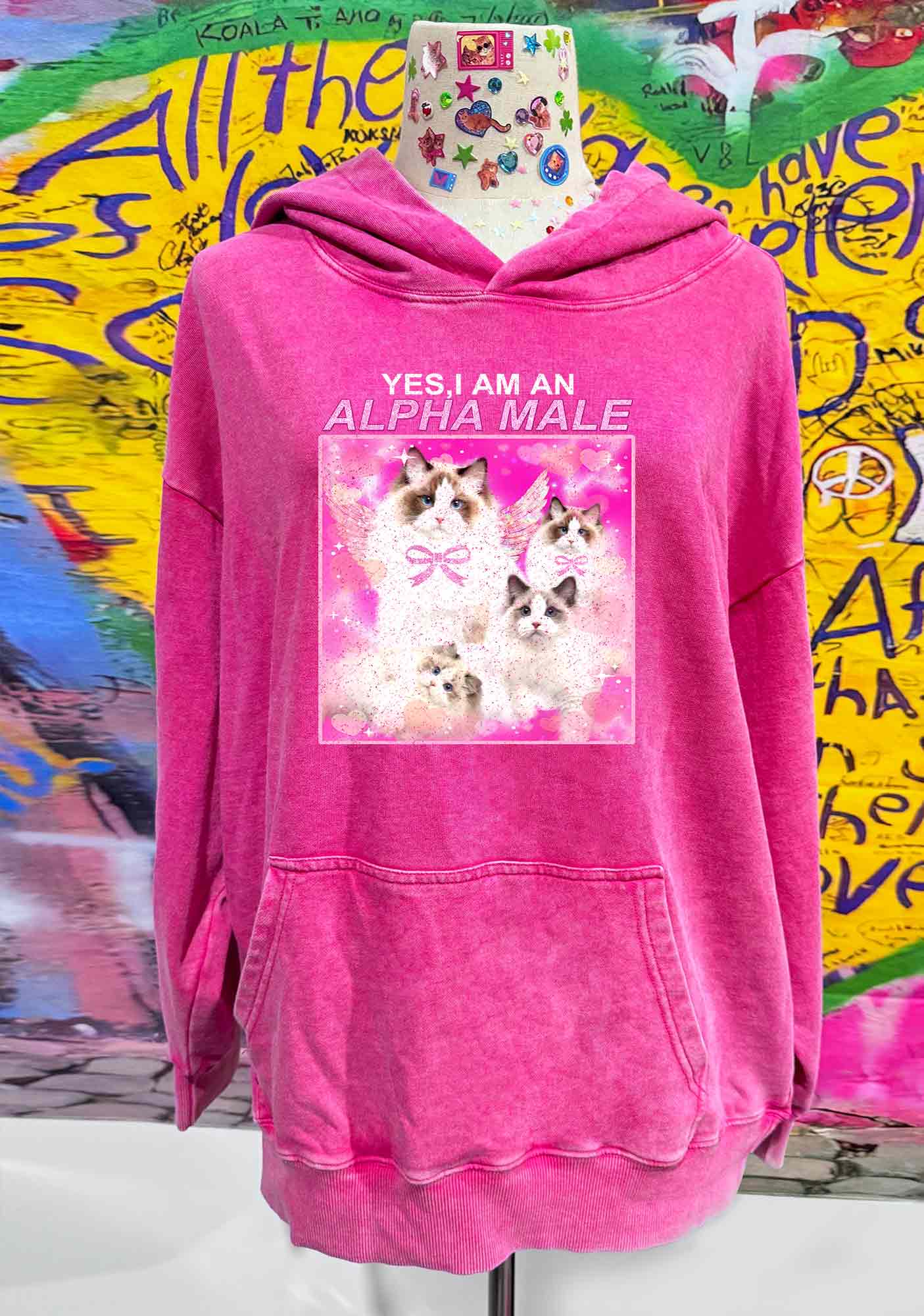 Alpha Male Y2K Washed Hoodie Cherrykitten